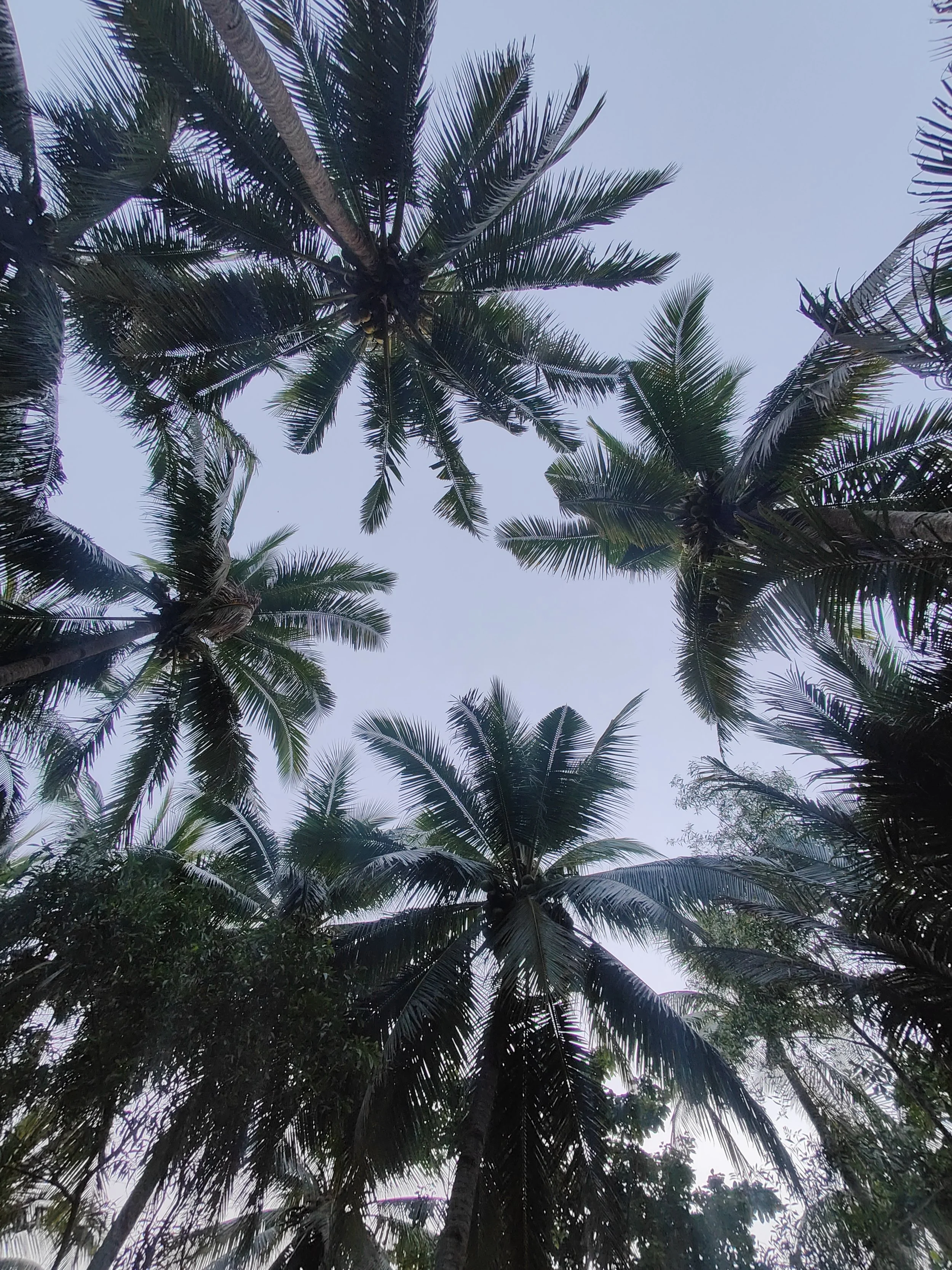 At nærme sig udviklingszonen