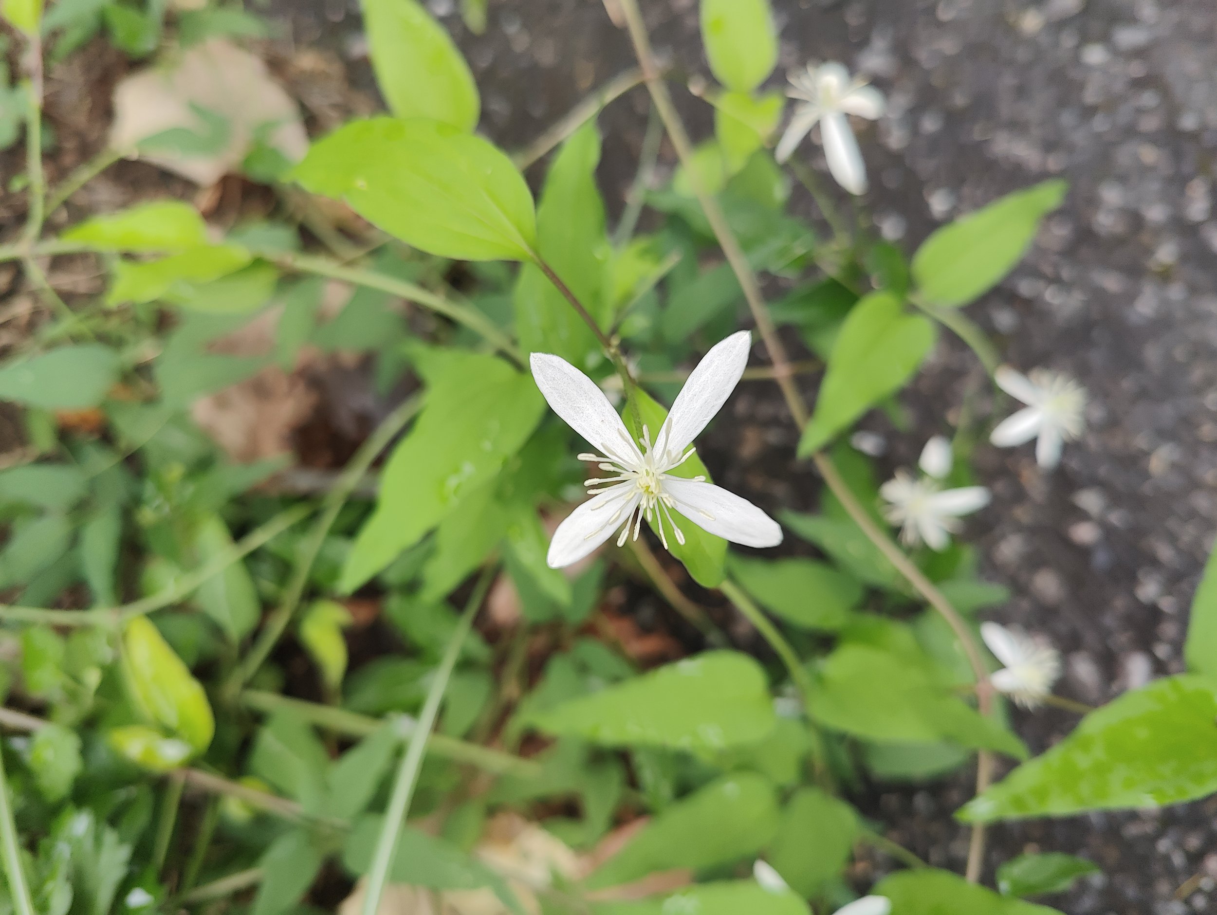 Parforhold del 3: behov og følelser