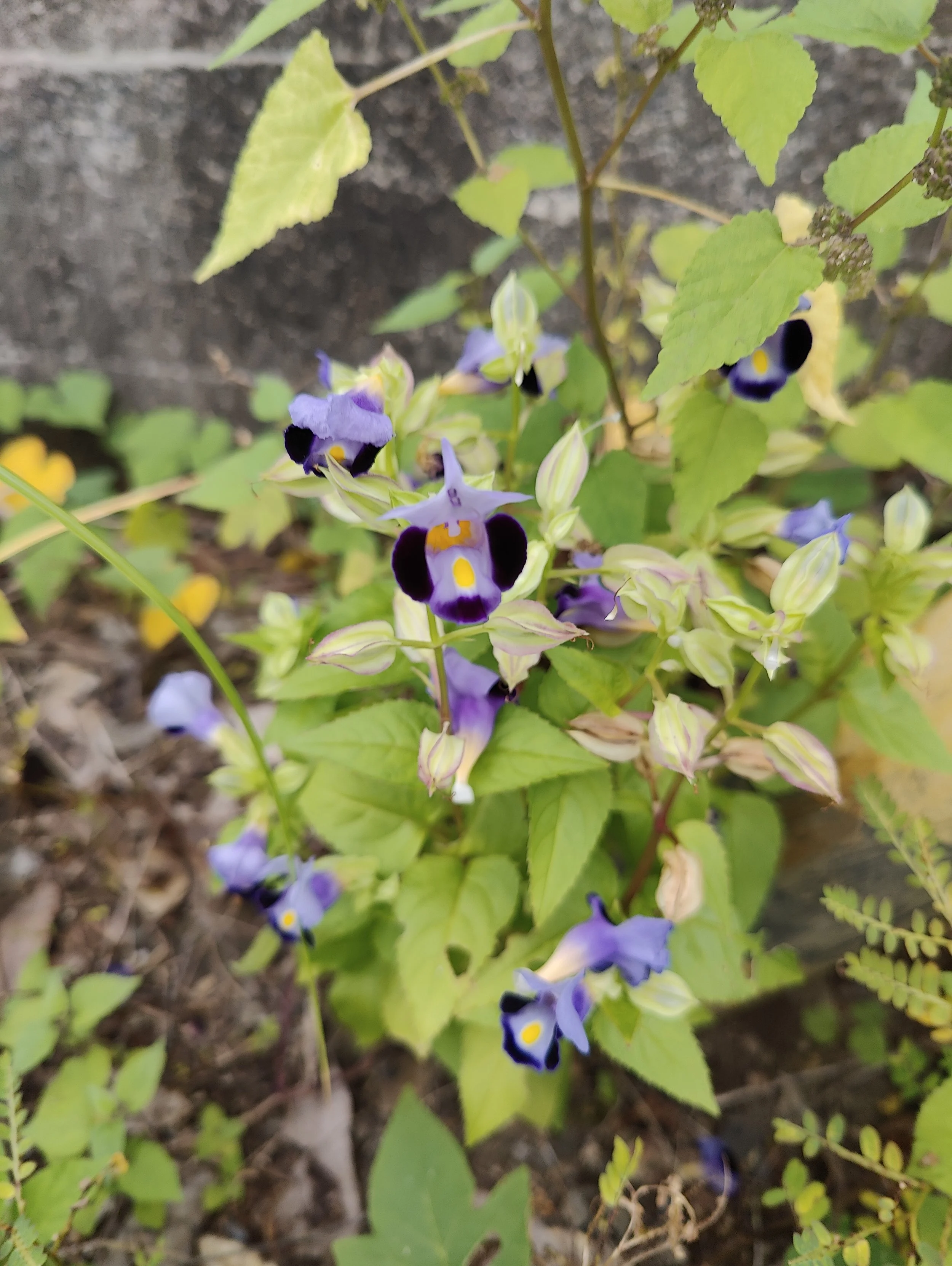 Parforhold del 4: konflikter, udfordringer og opmærksomheder