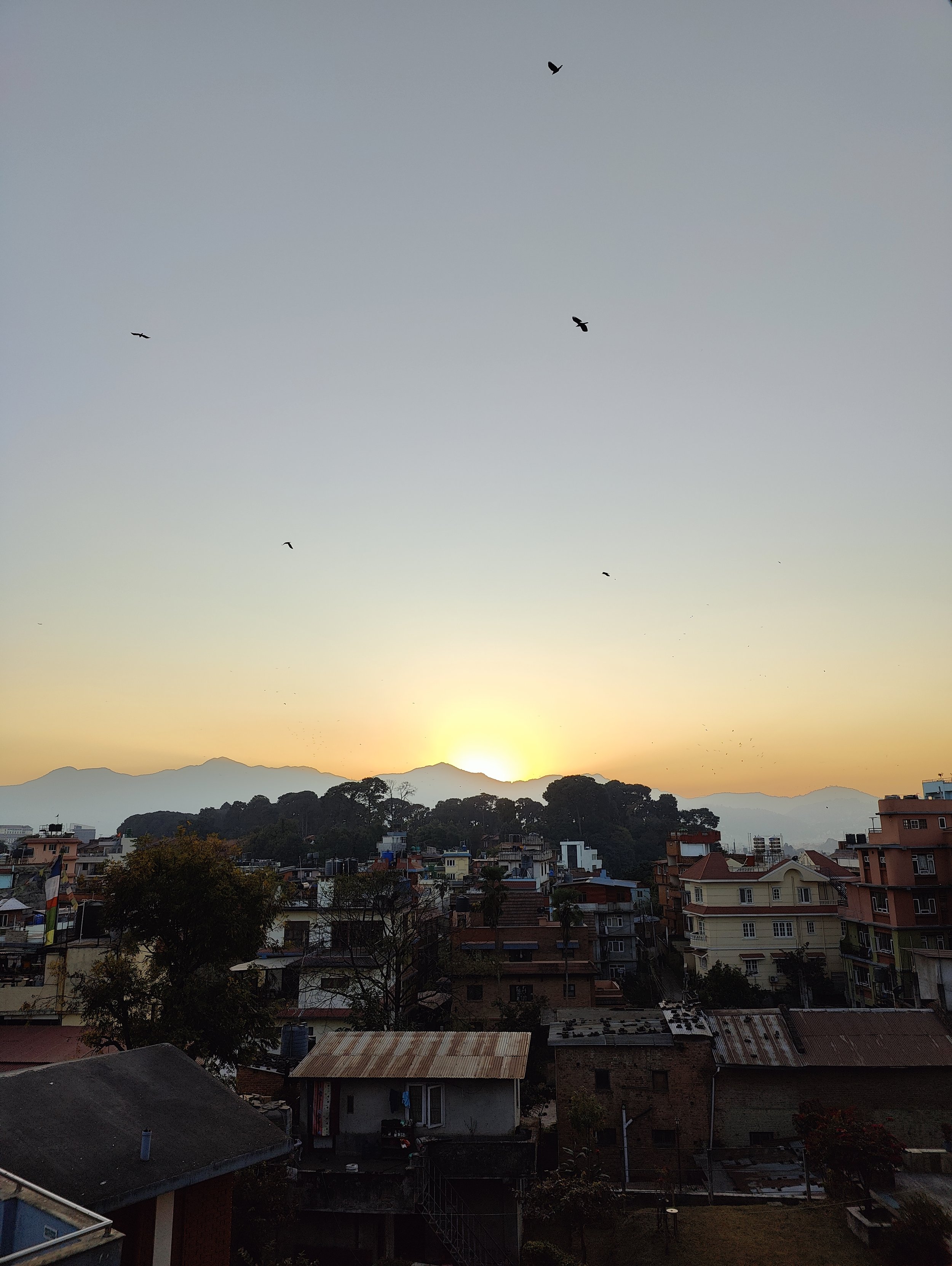 Plads til personlige historier i den globale krise