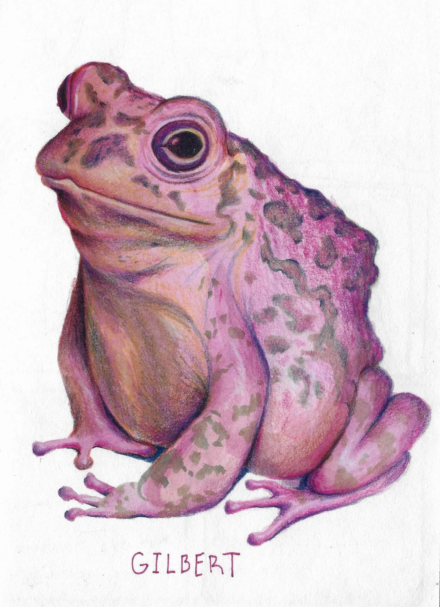 SCAN0025.jpg