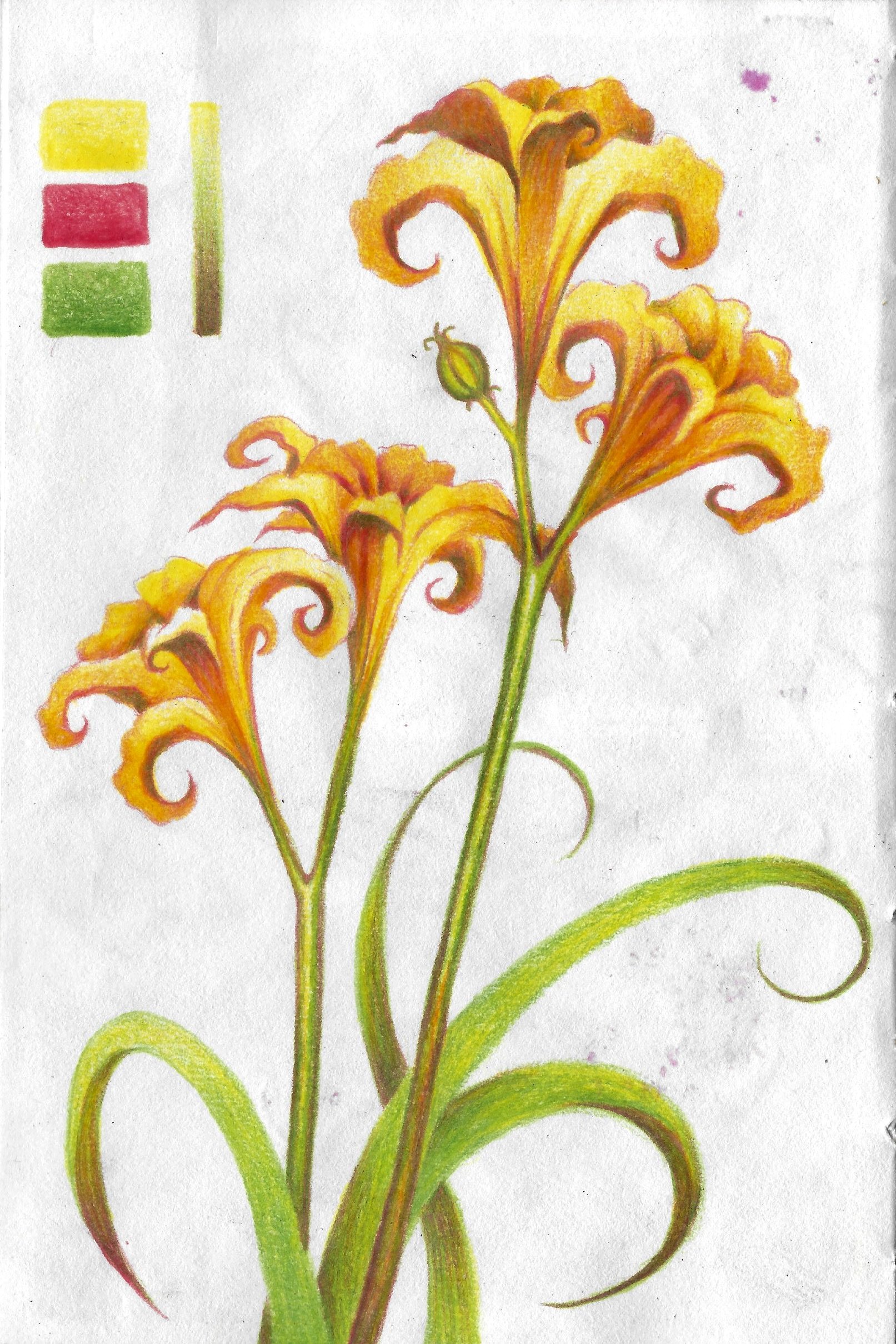 SCAN0022 2.JPG
