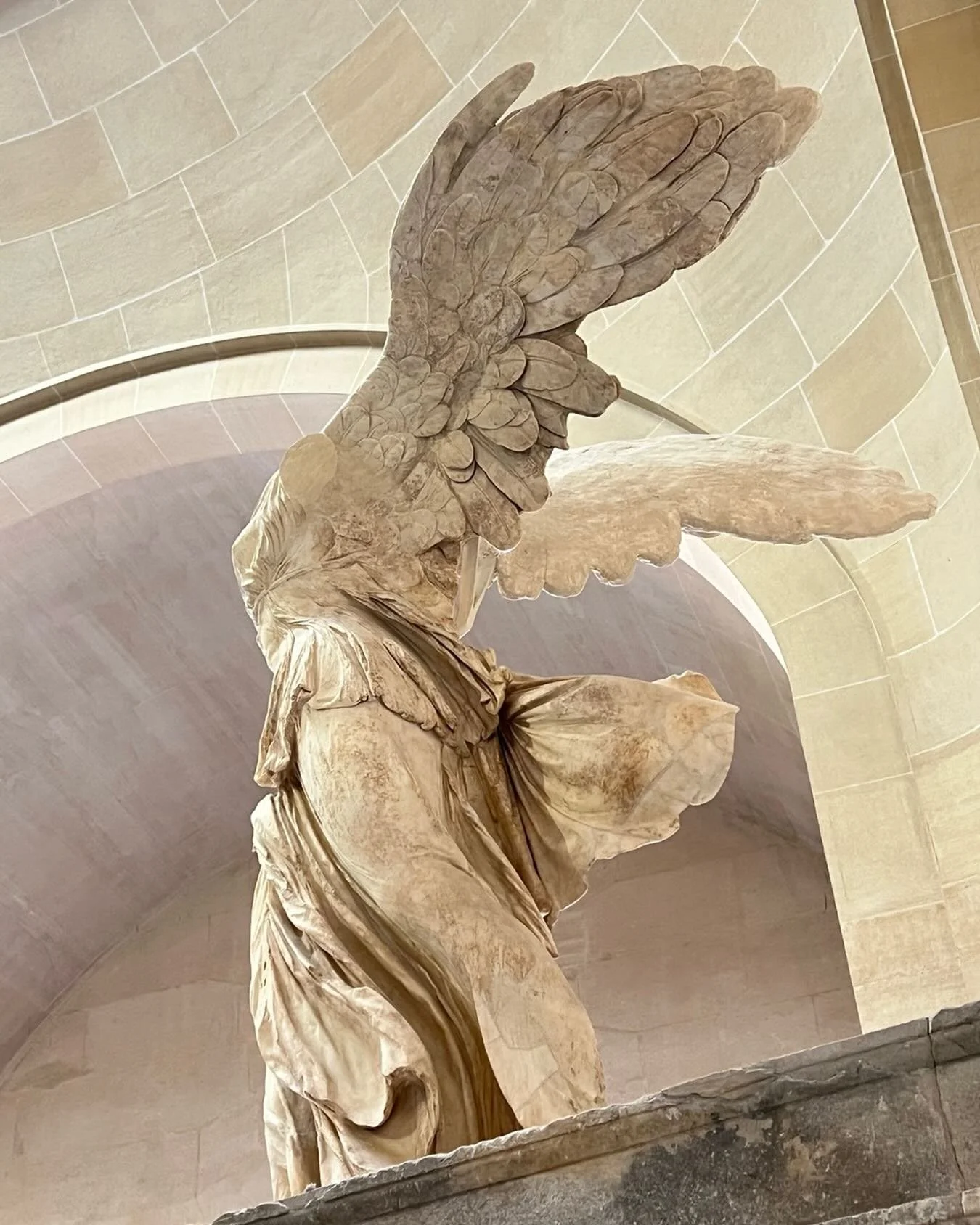 Love her so much (do favor #reparativejustice in all forms tho&rsquo;). #wings