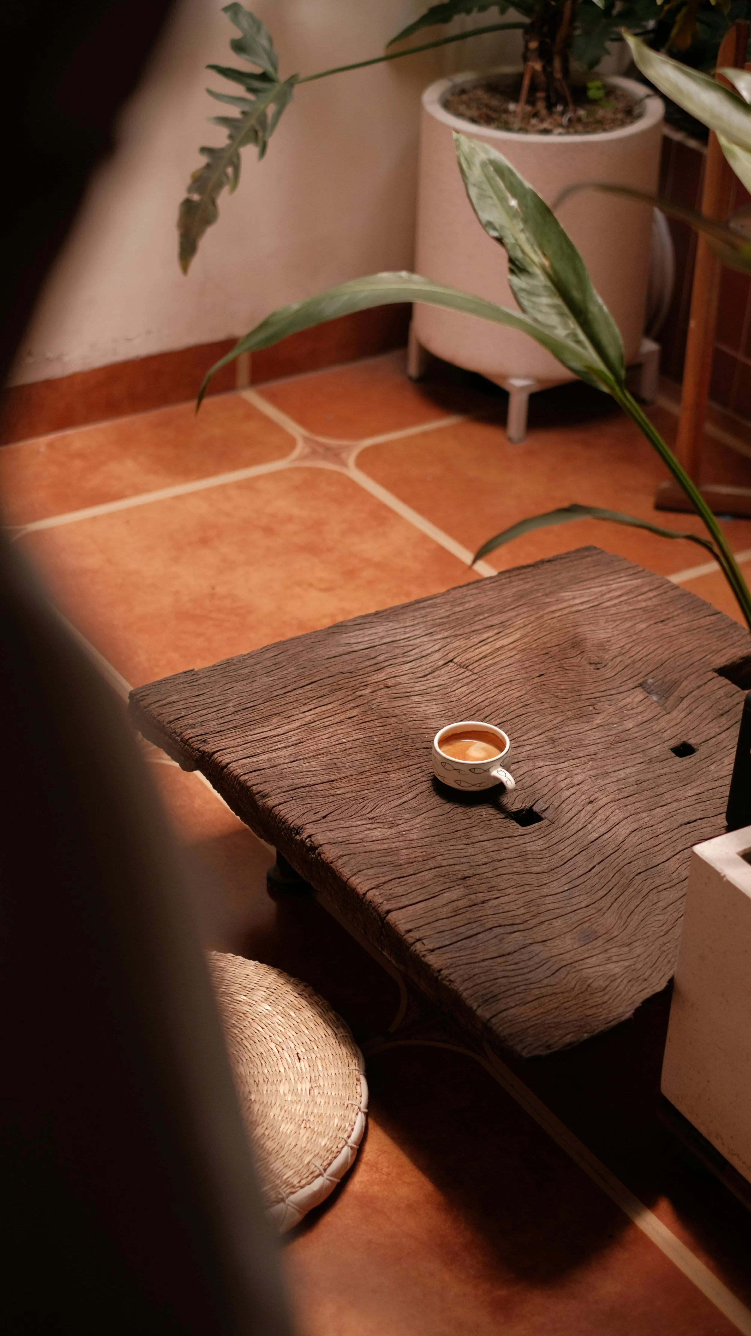 A rustic wooden table with a small cup of coffee on it, a woven straw seat underneath, and large potted plants in the background on a tiled floor.