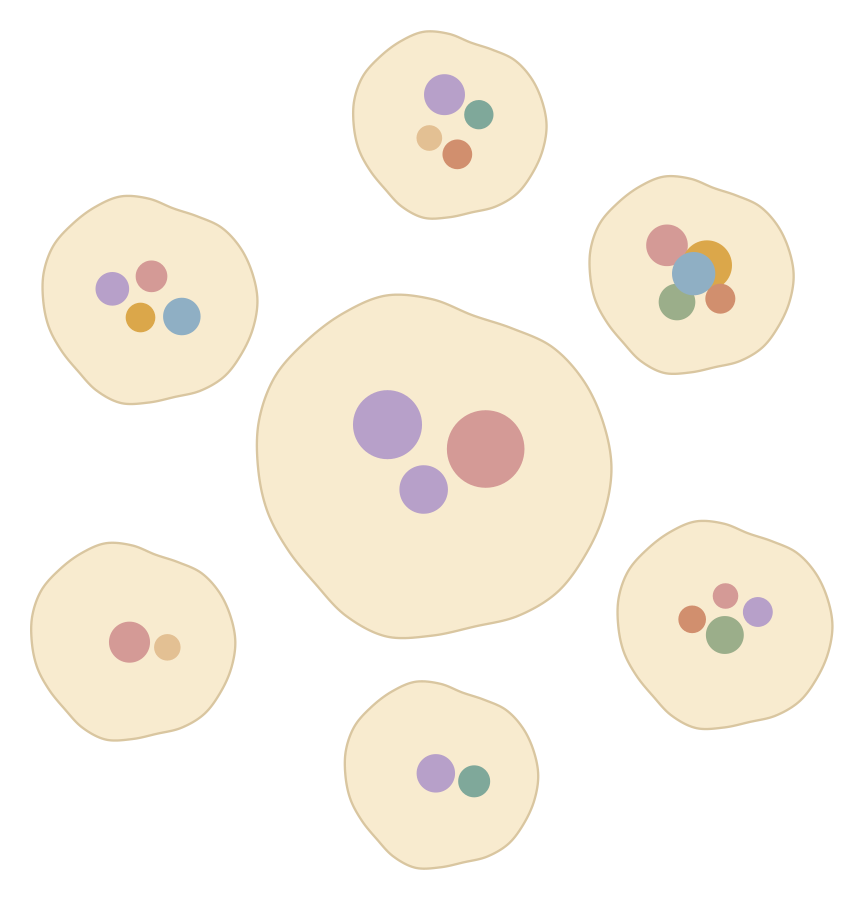 Illustration of seven beige-colored cells with colorful circular structures inside, resembling simplified biological cells.