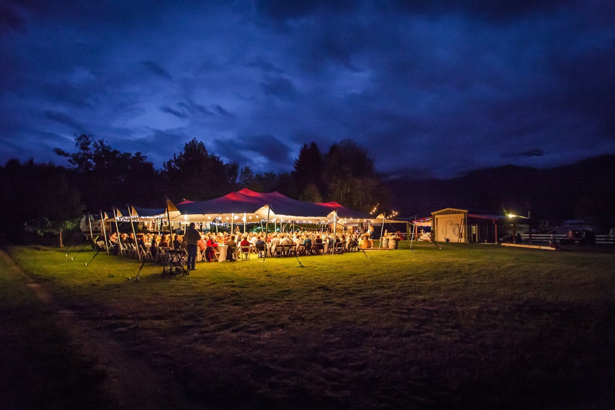 20-09 2016 Downing Wedding 1.jpeg