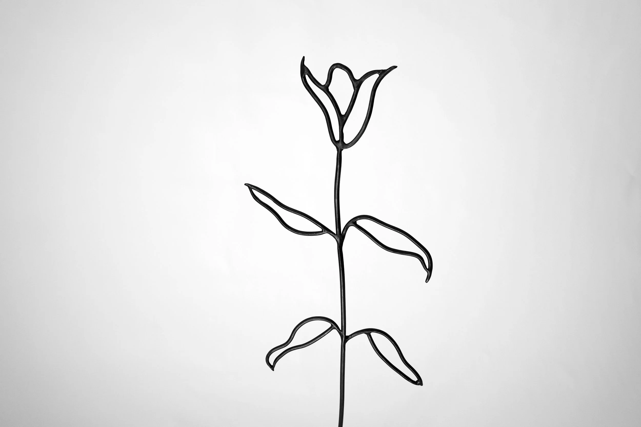 Warm Sun Pleasure, Pure and Simple!