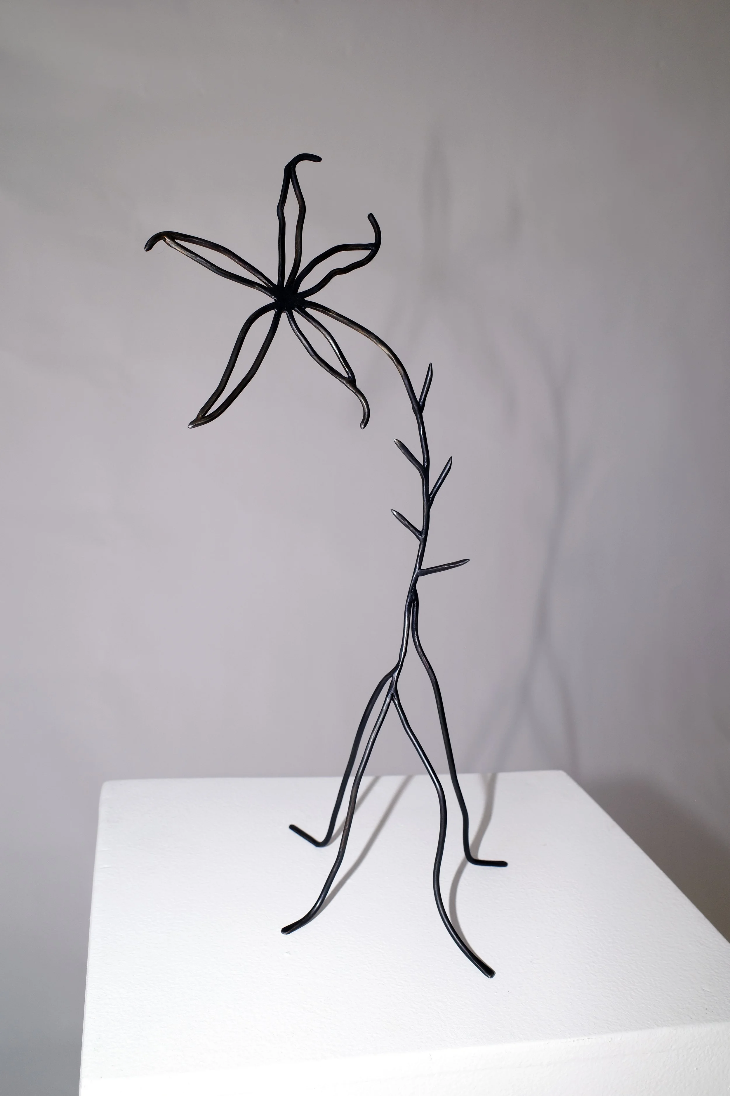 Glistening in the Moonlight of the Swamp