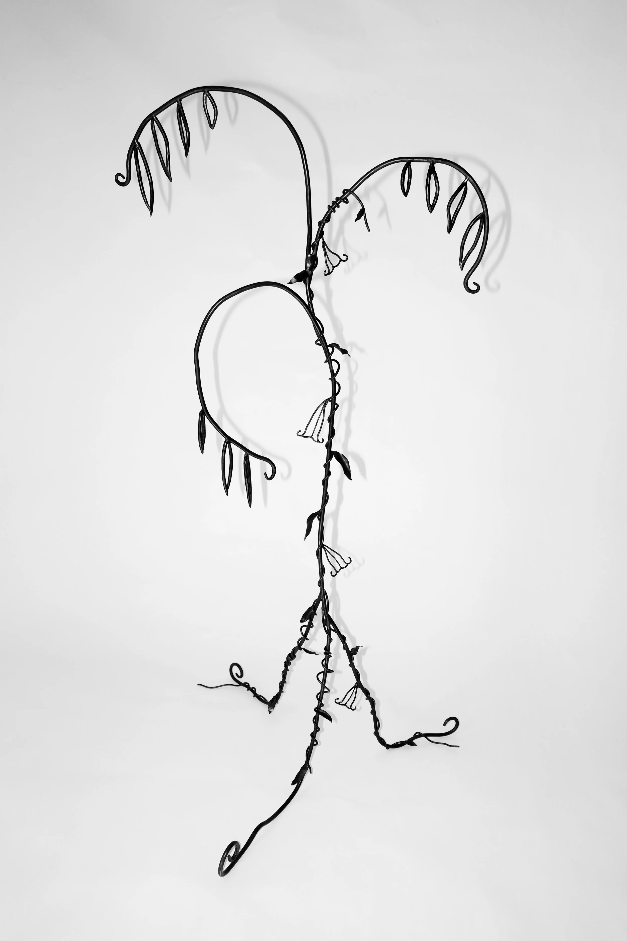 Worshipping at the Alter of the Willow