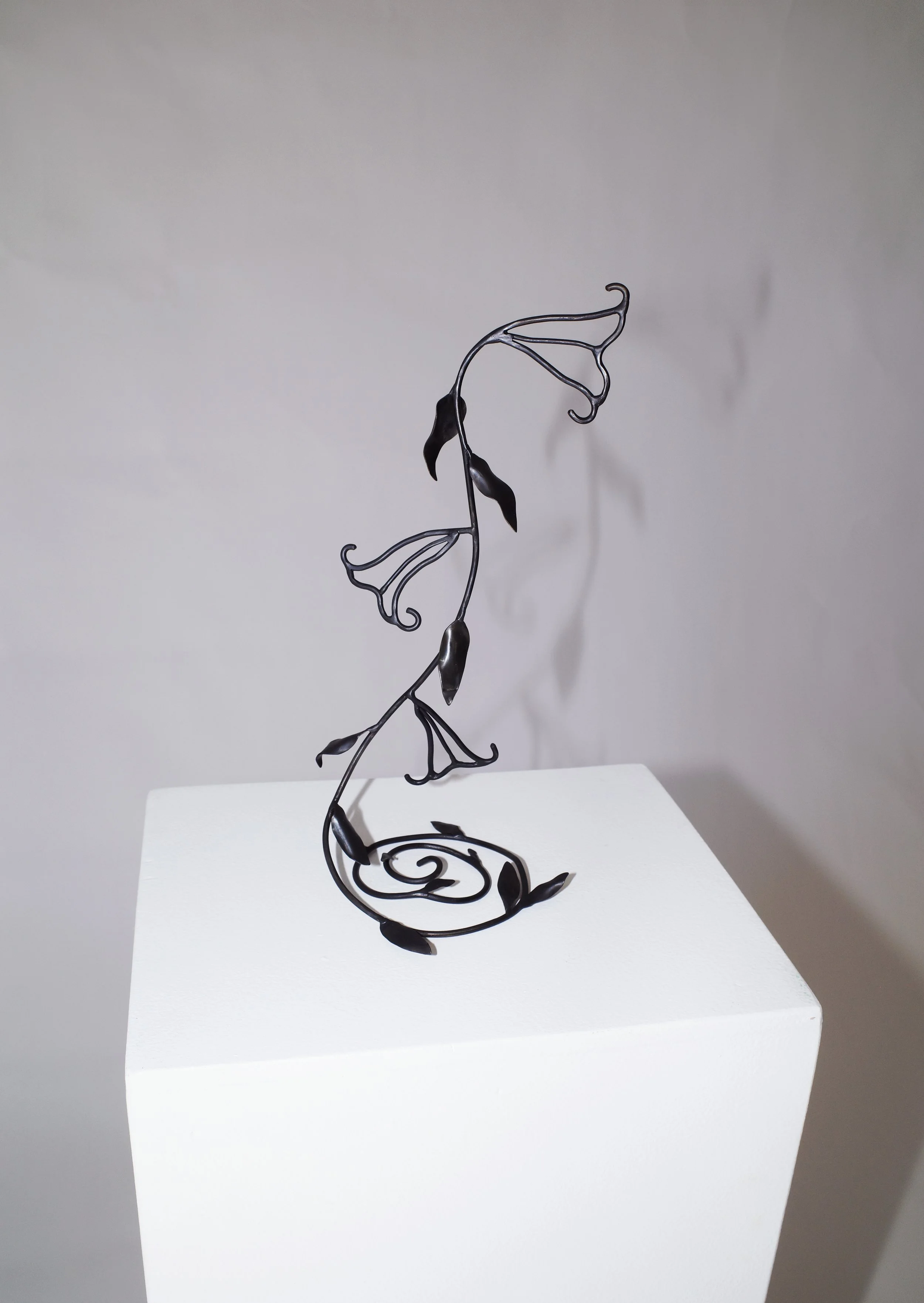 A Cutting From a (Very Pretty) Vine That Was Strangling My Tree