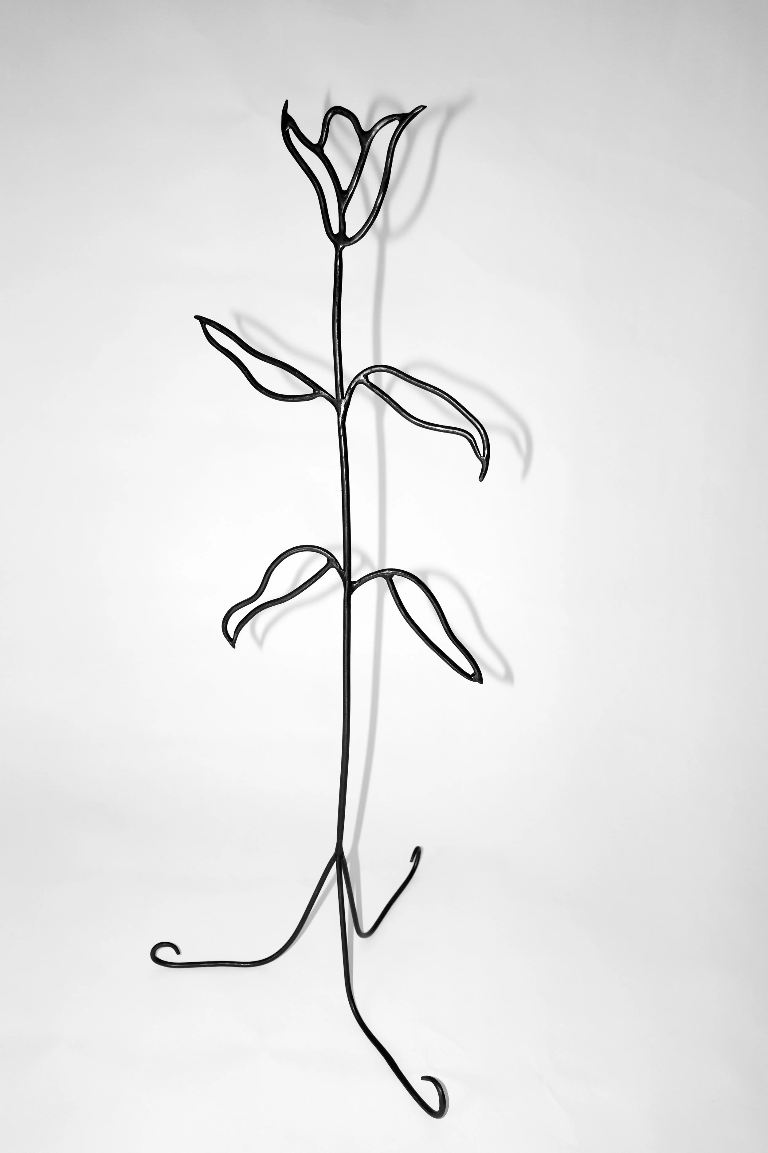 Warm Sun Pleasure, Pure and Simple!