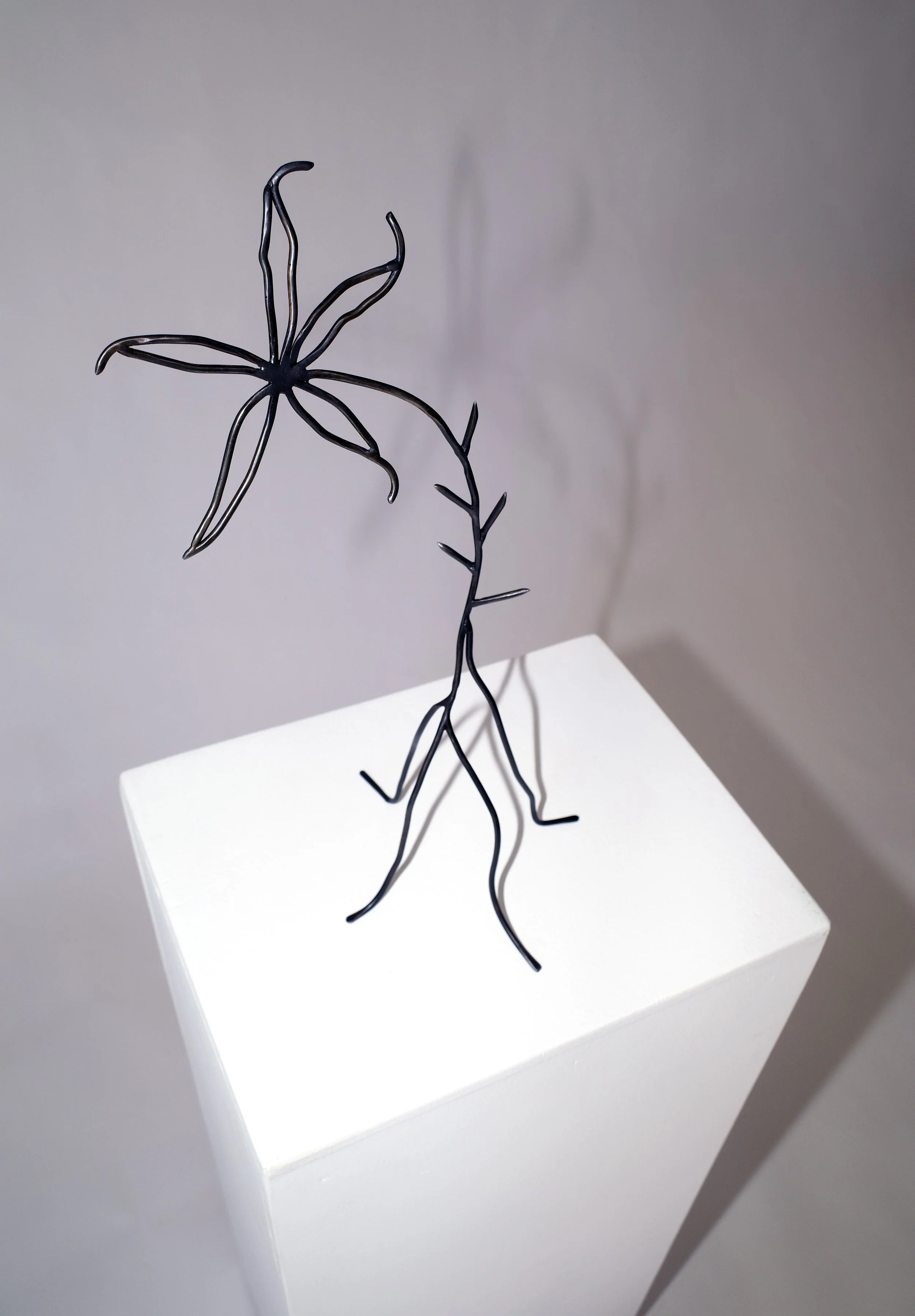 Glistening in the Moonlight of the Swamp