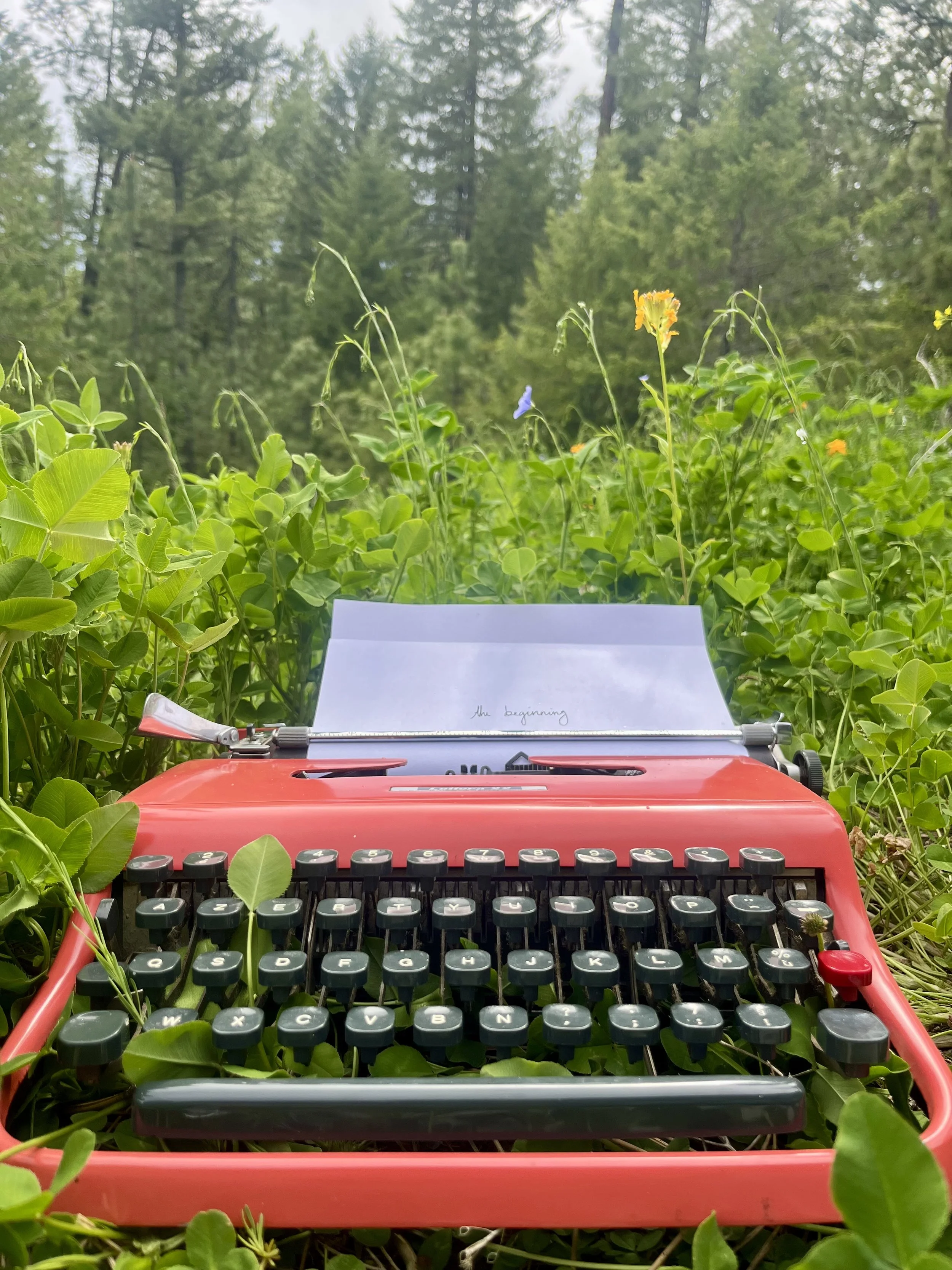 An antique typewriter rests in a field of clover and blossoms