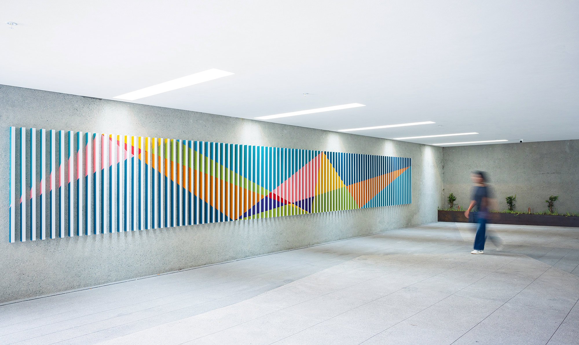  Photo Credit: Tomoko Matsubayashi 