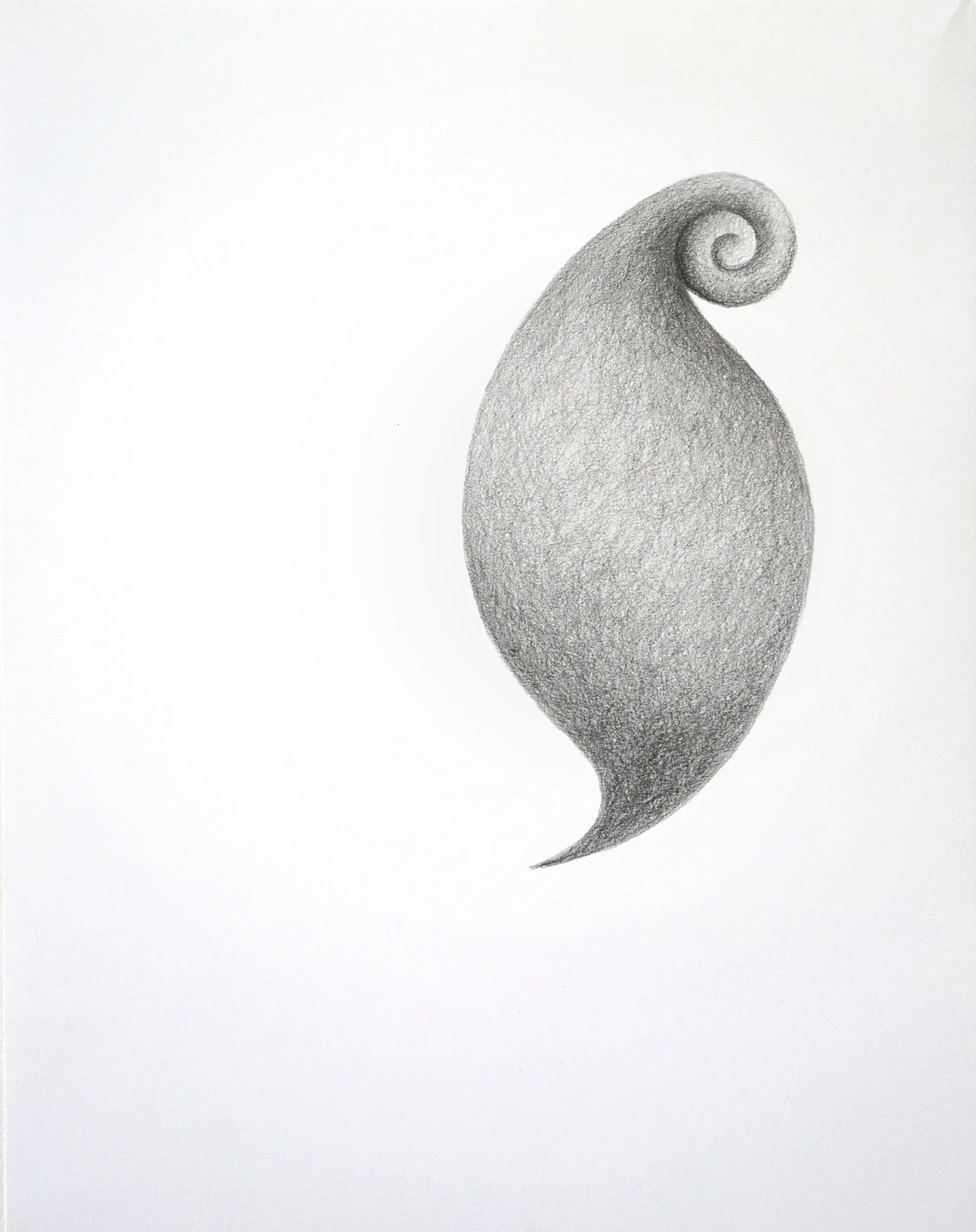 Stubborn Selfhood, 2018
Graphite on paper, 14 x 11 inches