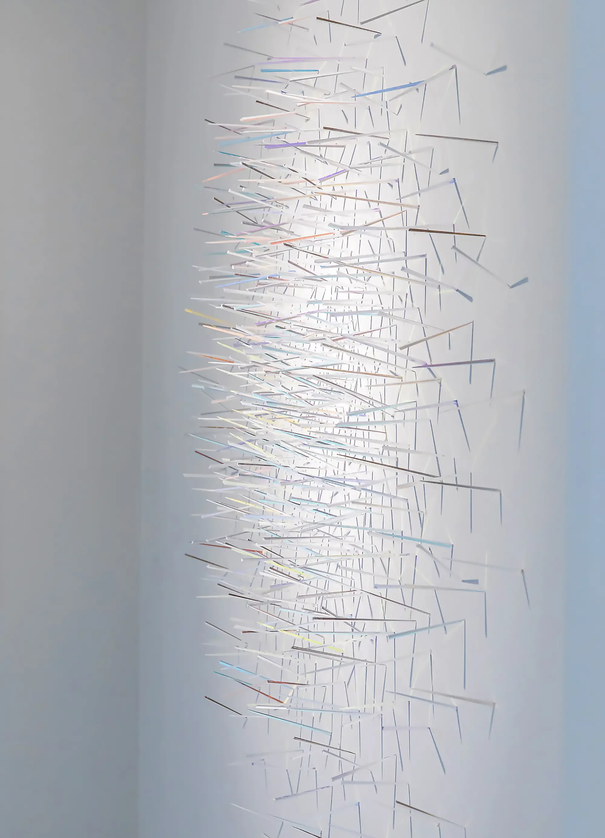 STUDY OF MURMURATION