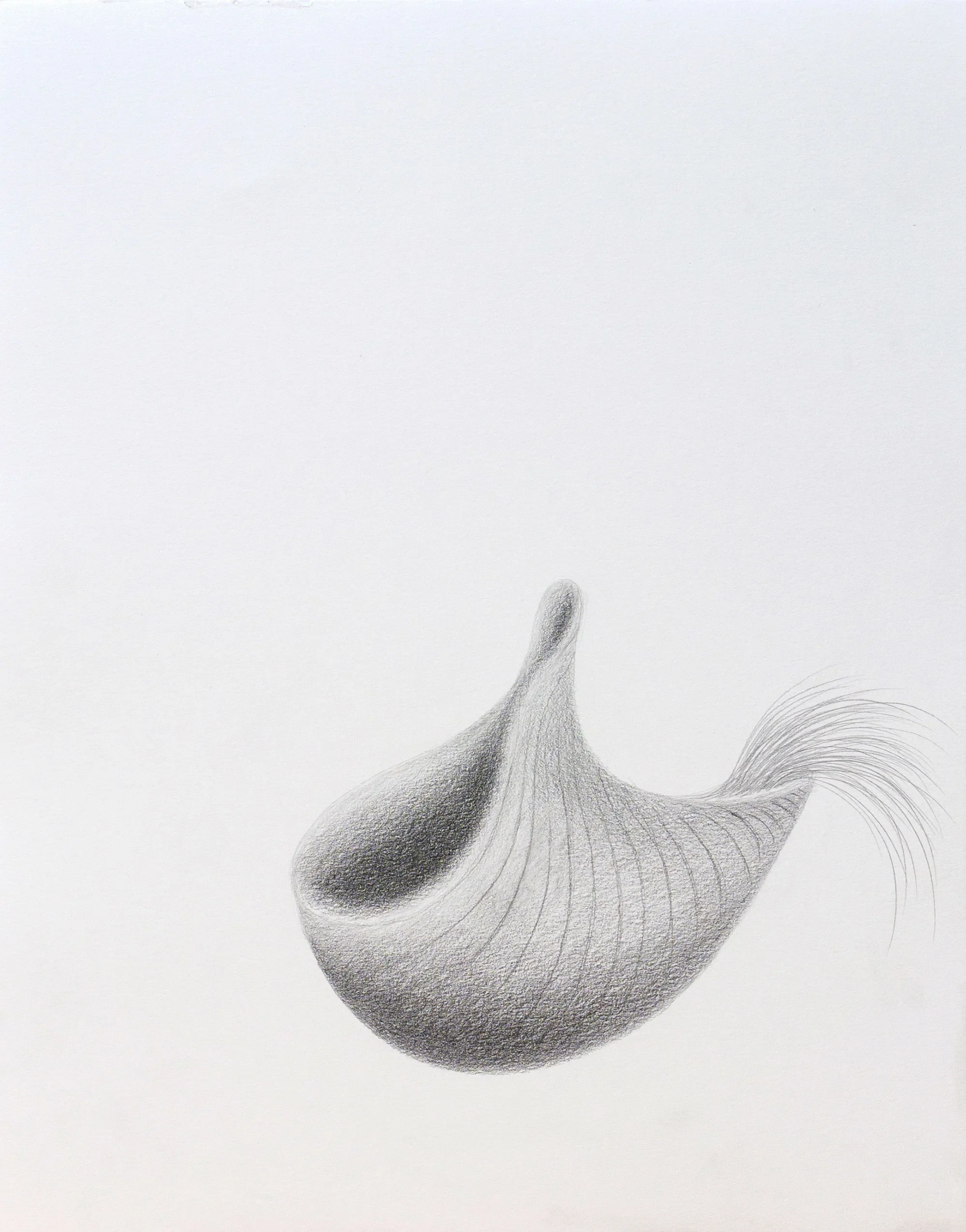Longing to Belong, 2018
Graphite on paper, 14 x 11 inches