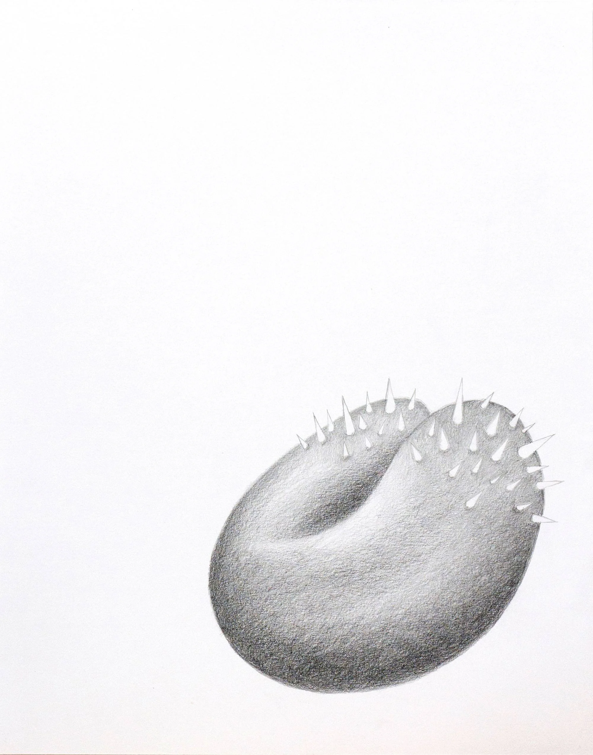 Perils of Intimacy, 2018
Graphite on paper, 14 x 11 inches
