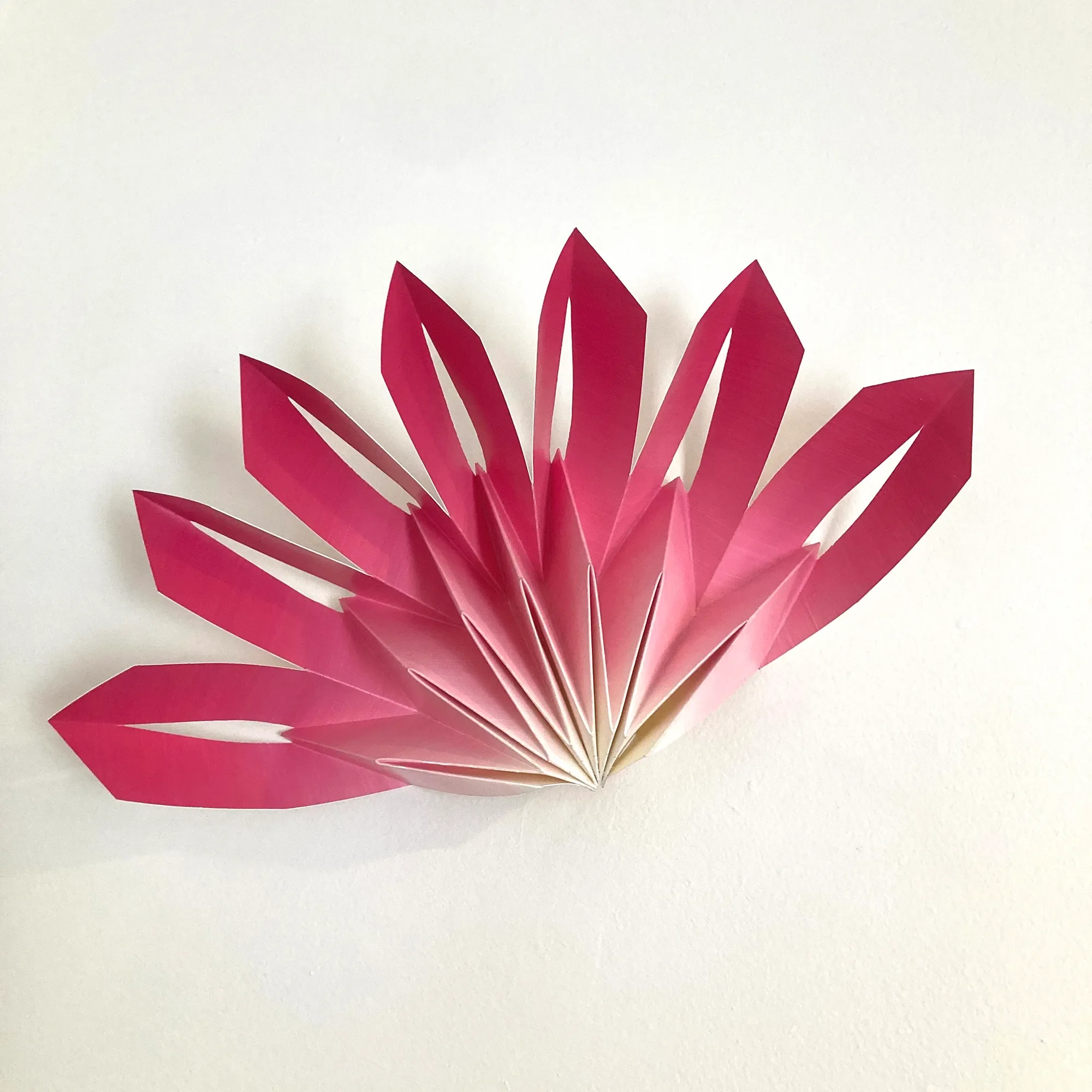 Fairy Duster, 2024
Oil on paper, folded, 11 x 19 x 3 inches