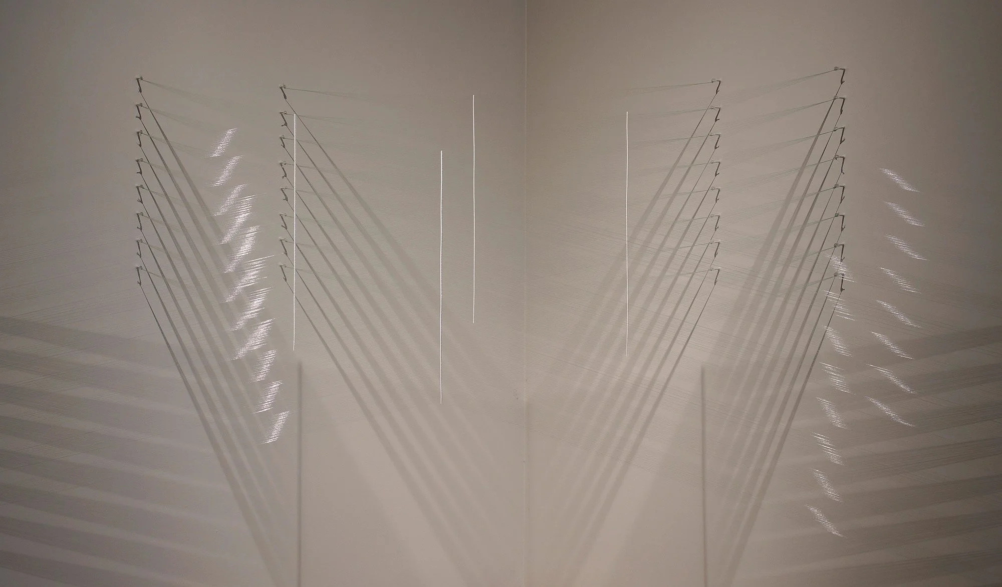 Cube, 2019
Monofilament, 78 x 212 x 106 inches