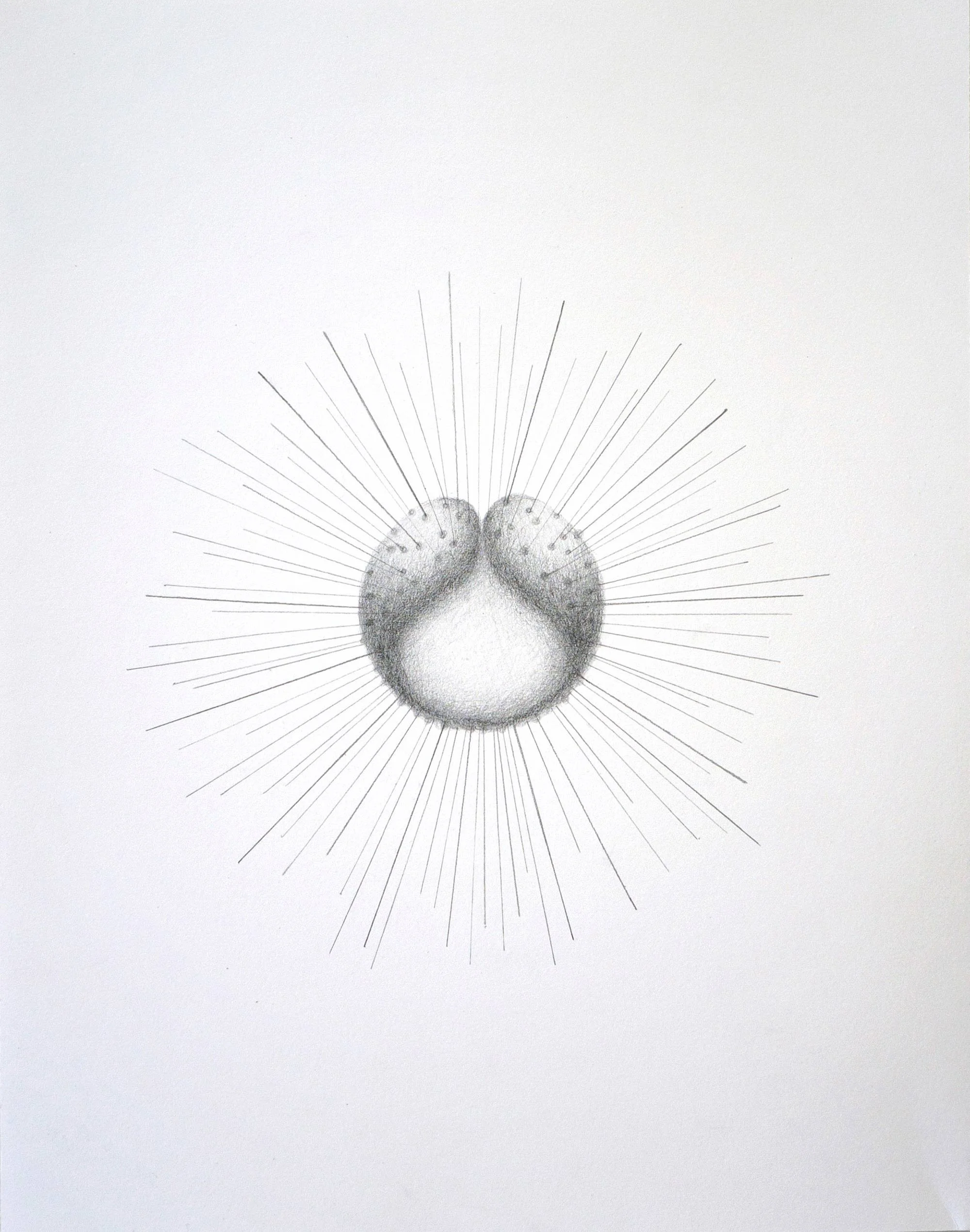 Incubator of Hopes and Dreams, 2018
Graphite on paper, 14 x 11 inches