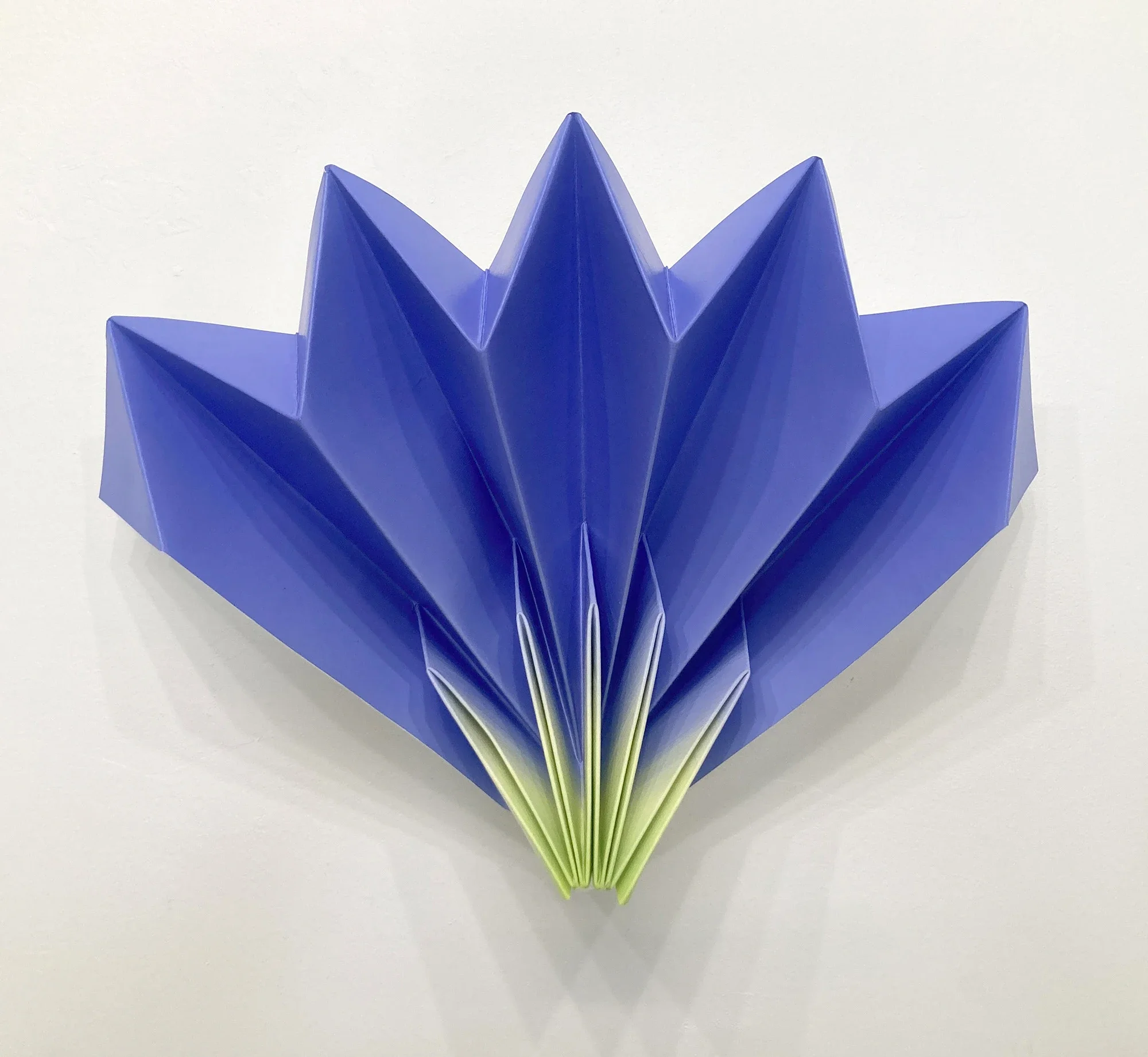 New Wonder (Fairy Fan Flower), 2023
Oil on paper, folded, 12 x 16 x 4 inches
