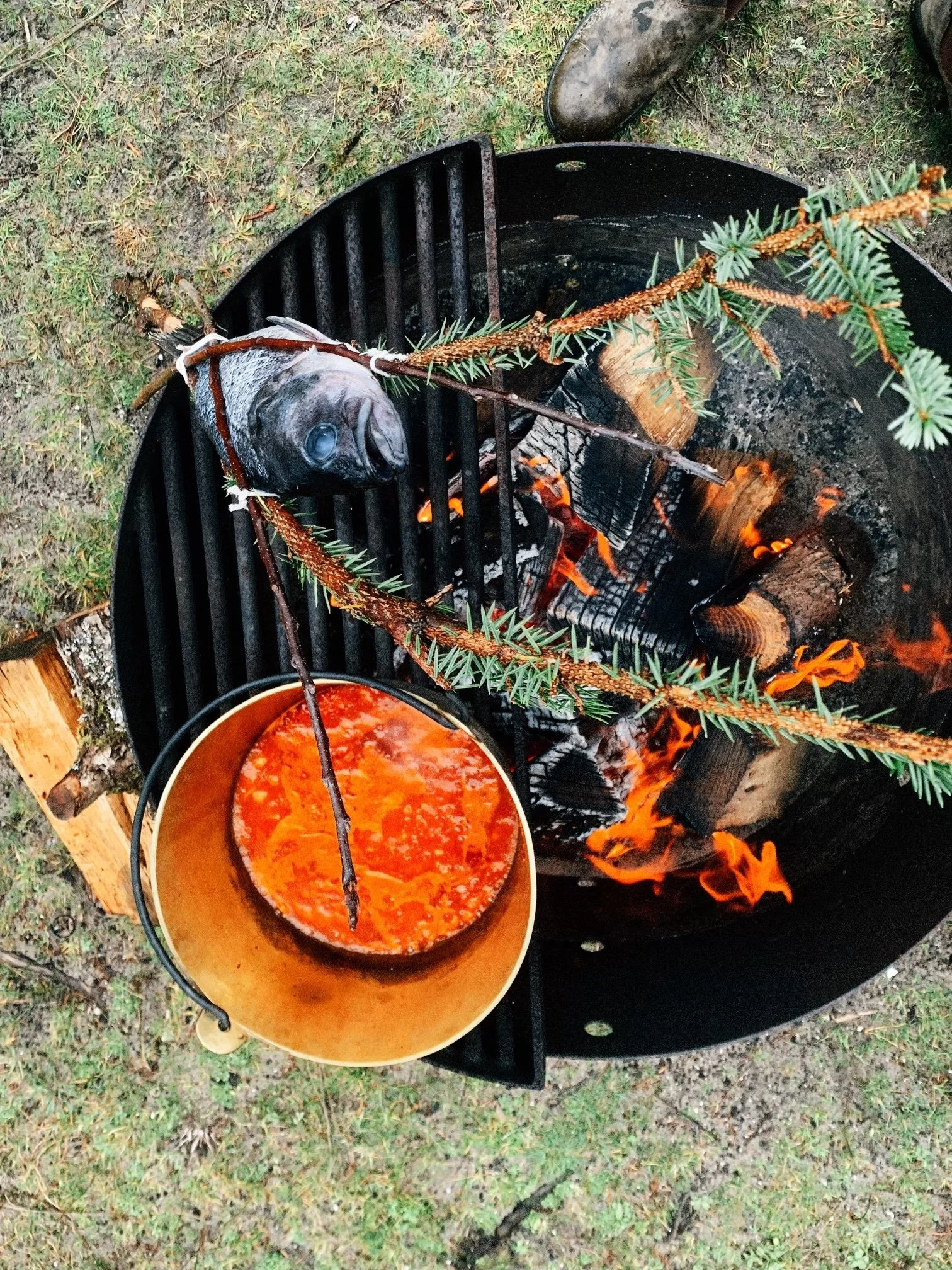 A fish is being grilled over an open fire in a black round grill, with tree branches and flames visible. A bucket of red-orange sauce is placed nearby on the ground, which is covered with grass and small plants.