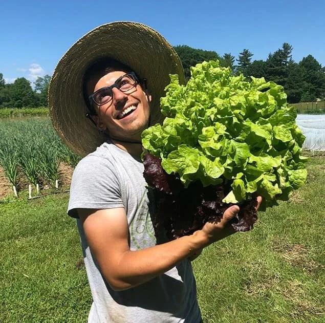 A smiling man in sunglasses and a wide-brimmed straw hat holding a large head of green and red lettuce in a farm field.