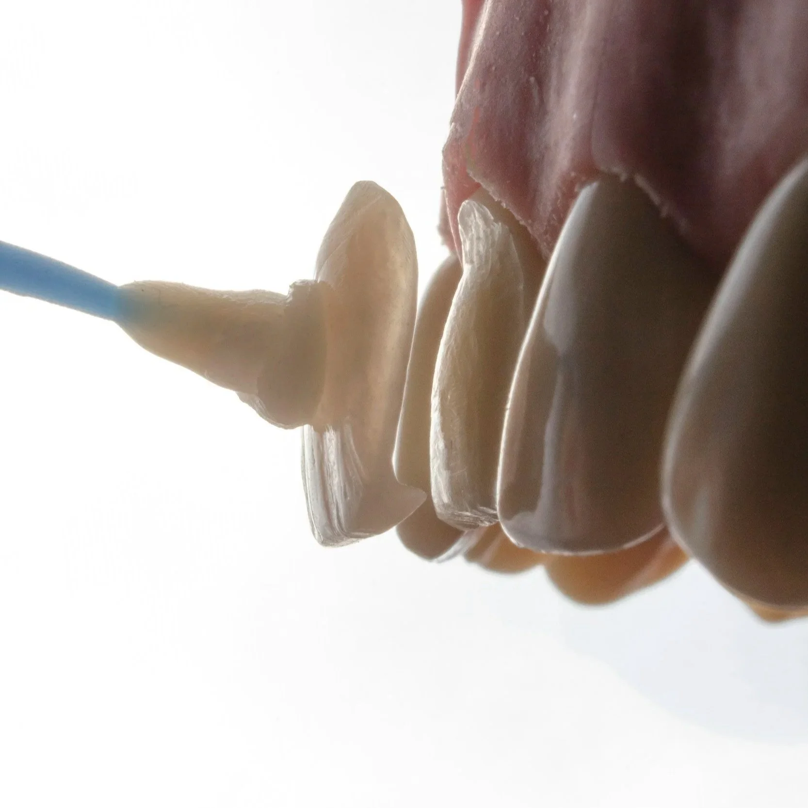 Close-up of a person holding a white and pink toothbrush near their teeth.