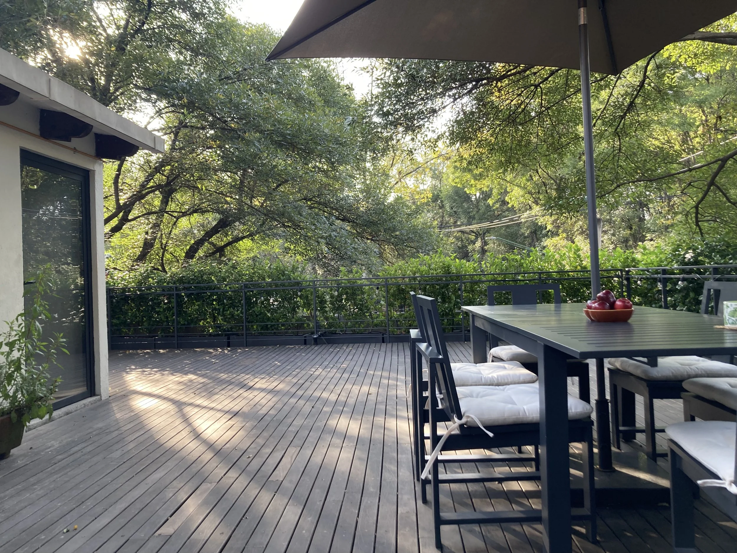 Roof garden and workshop 