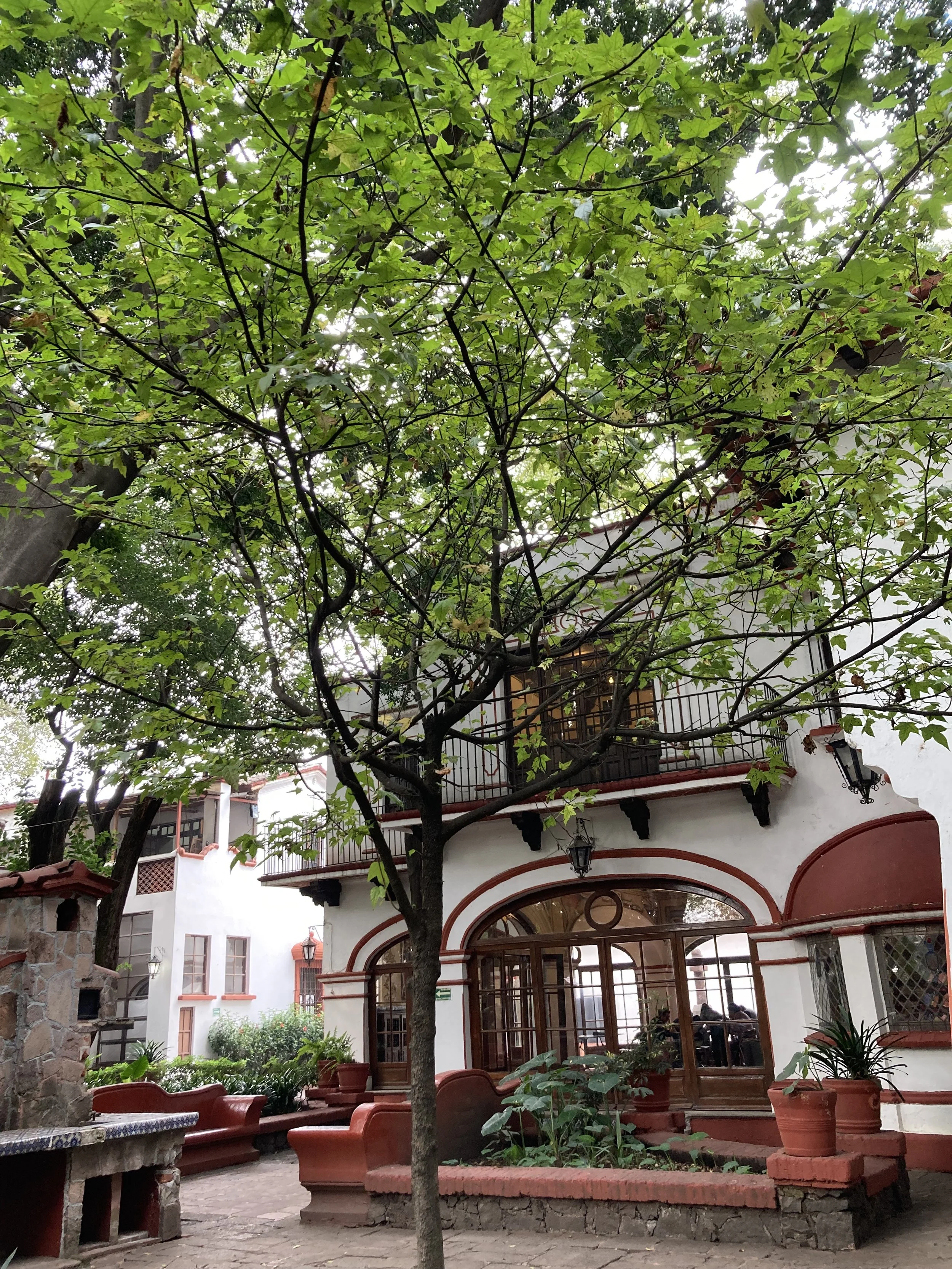 Cultural House Coyoacan