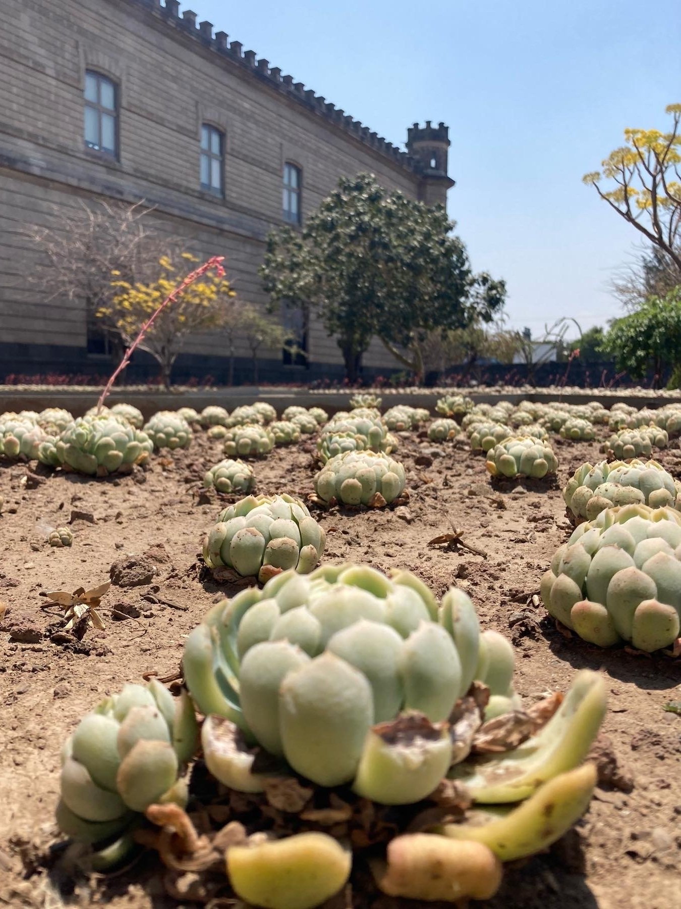 General Archive of the Nation