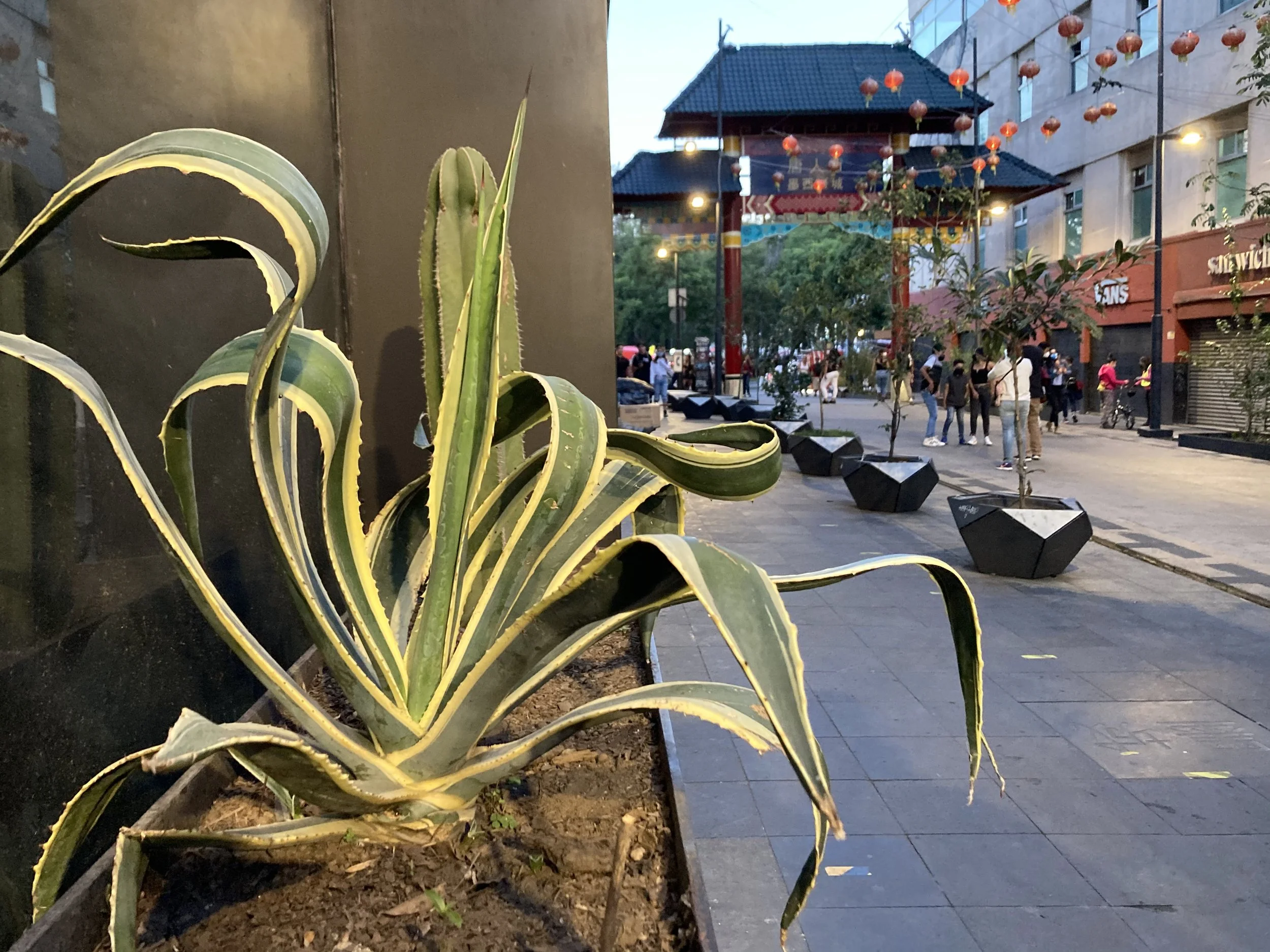 Mexico City China Town