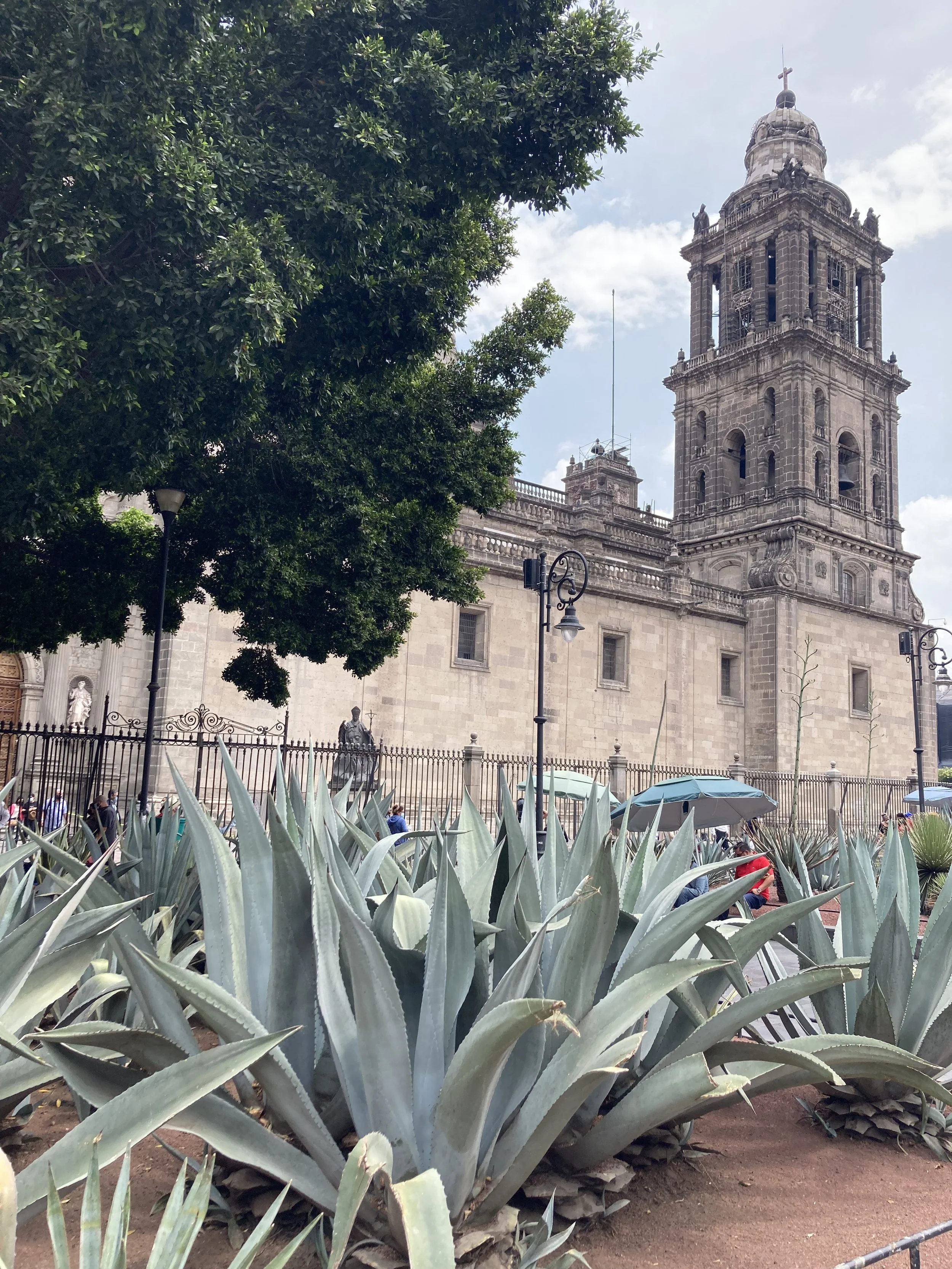 Mexico City Cathedral