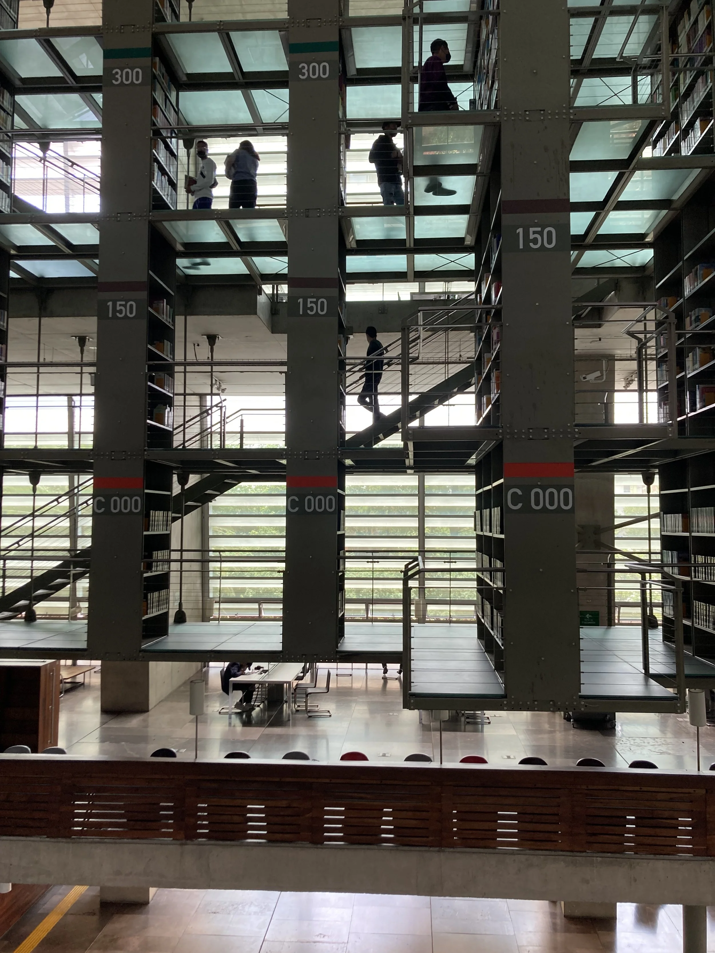 Vasconcelos Public Library