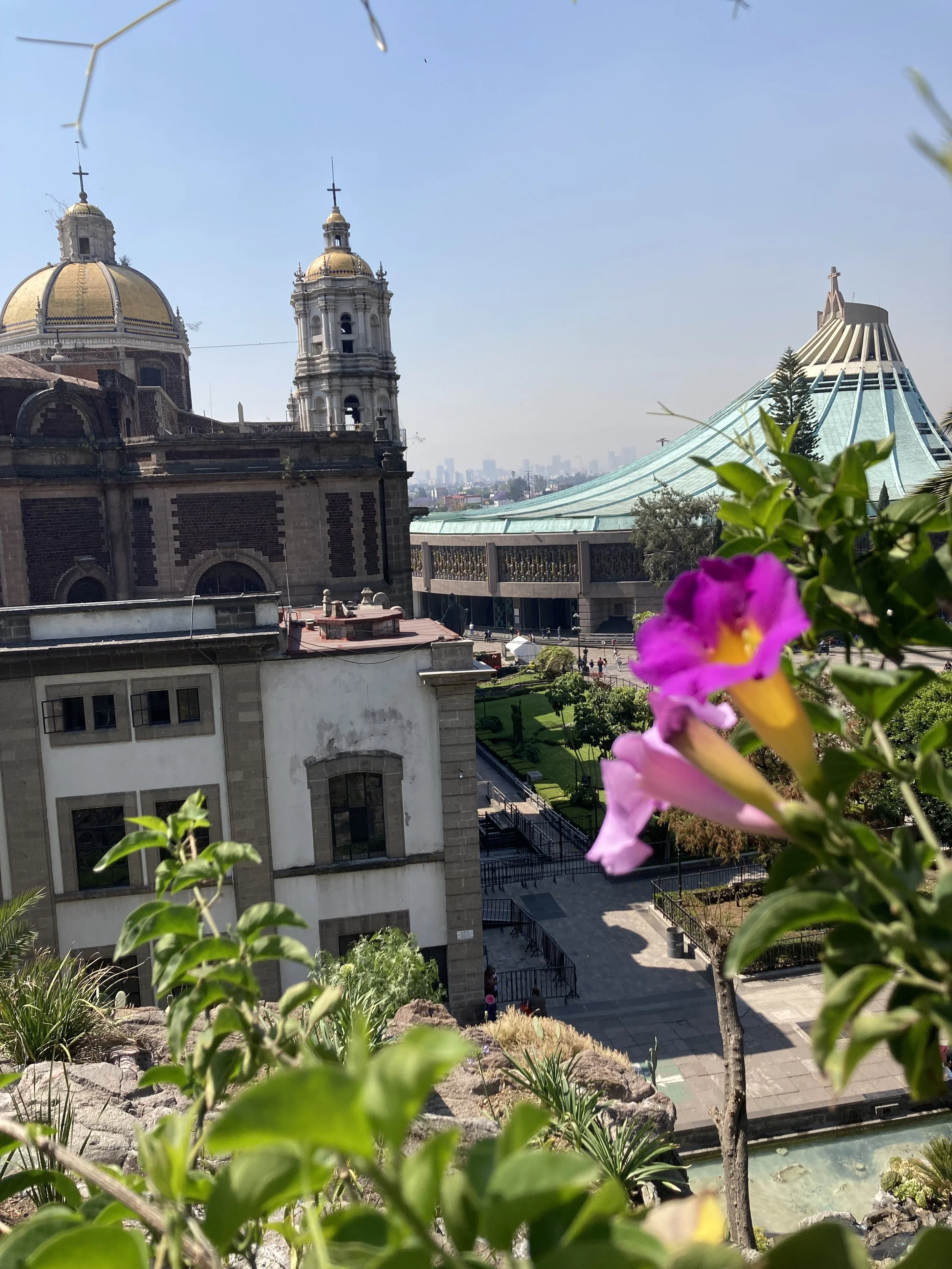 Basilica of our lady of Guadalupe
