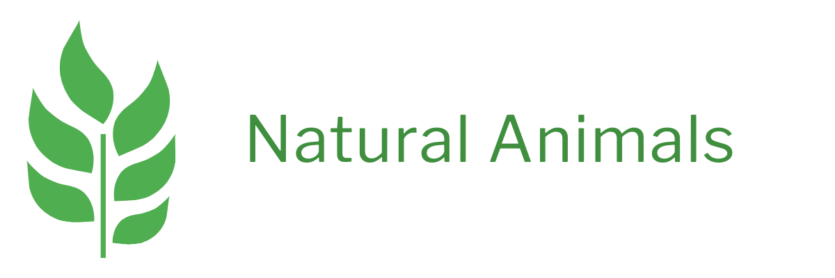 Natural Animals 