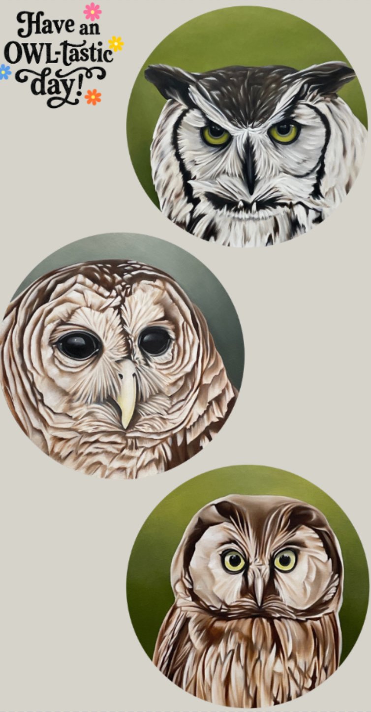 Owl Sticker Sheet.jpeg