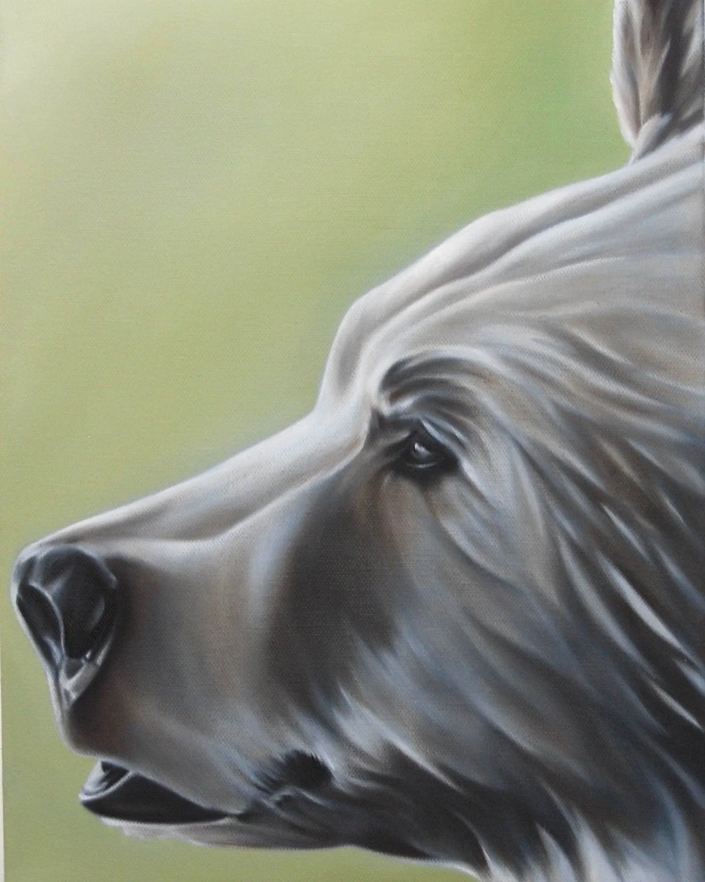 Captivated 11x14.JPG