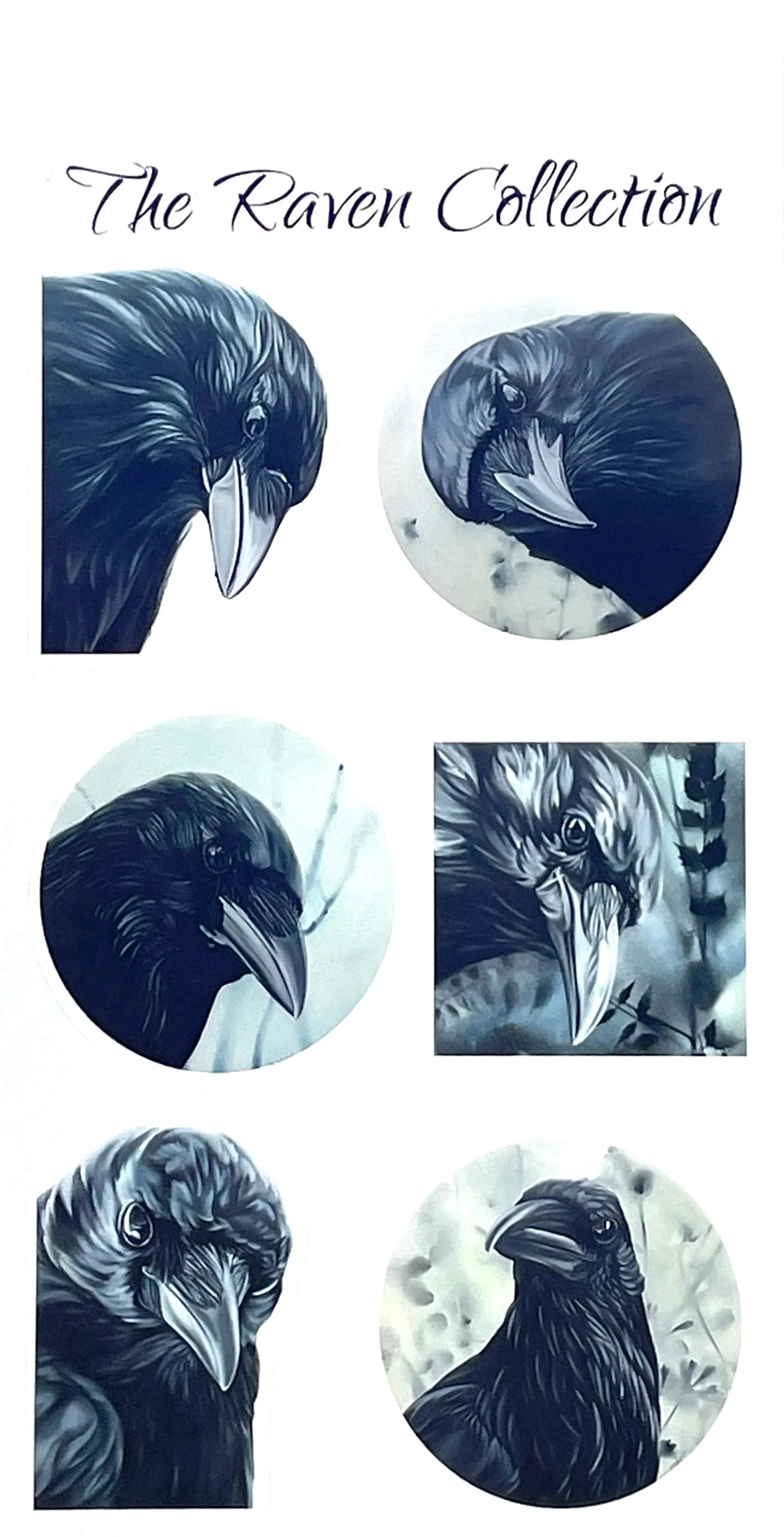 Raven Sticker Collection