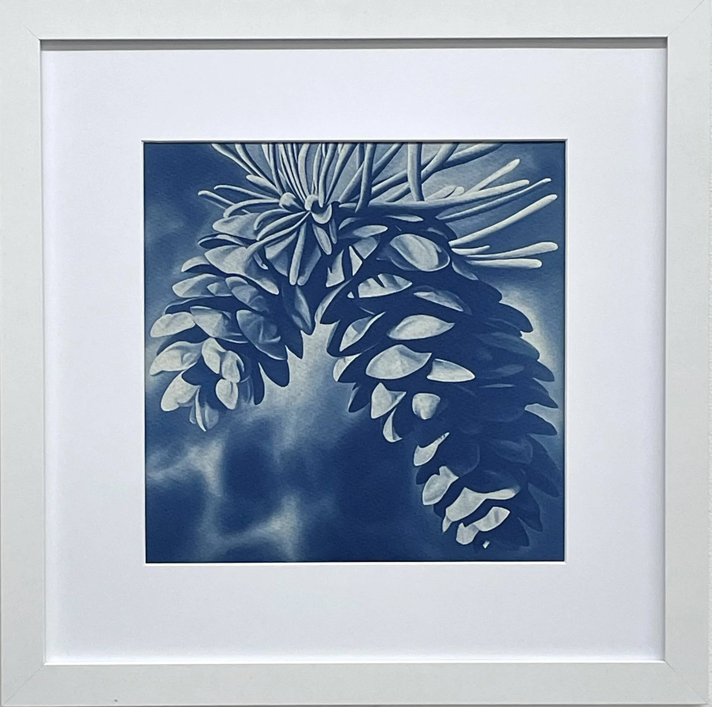 Opportunity Cyanotype Framed.jpg