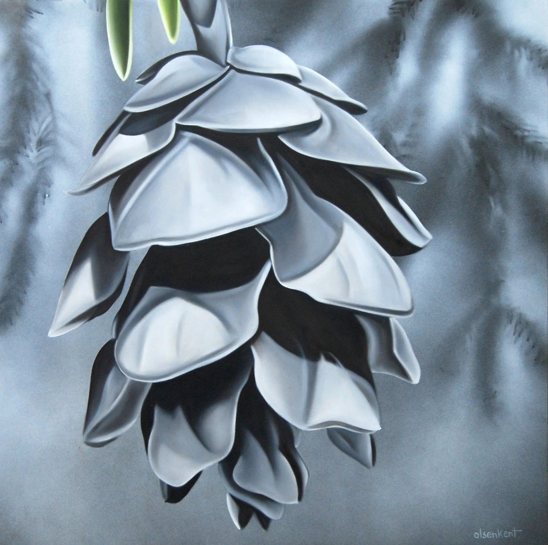 Under The Canopy Revised .JPG