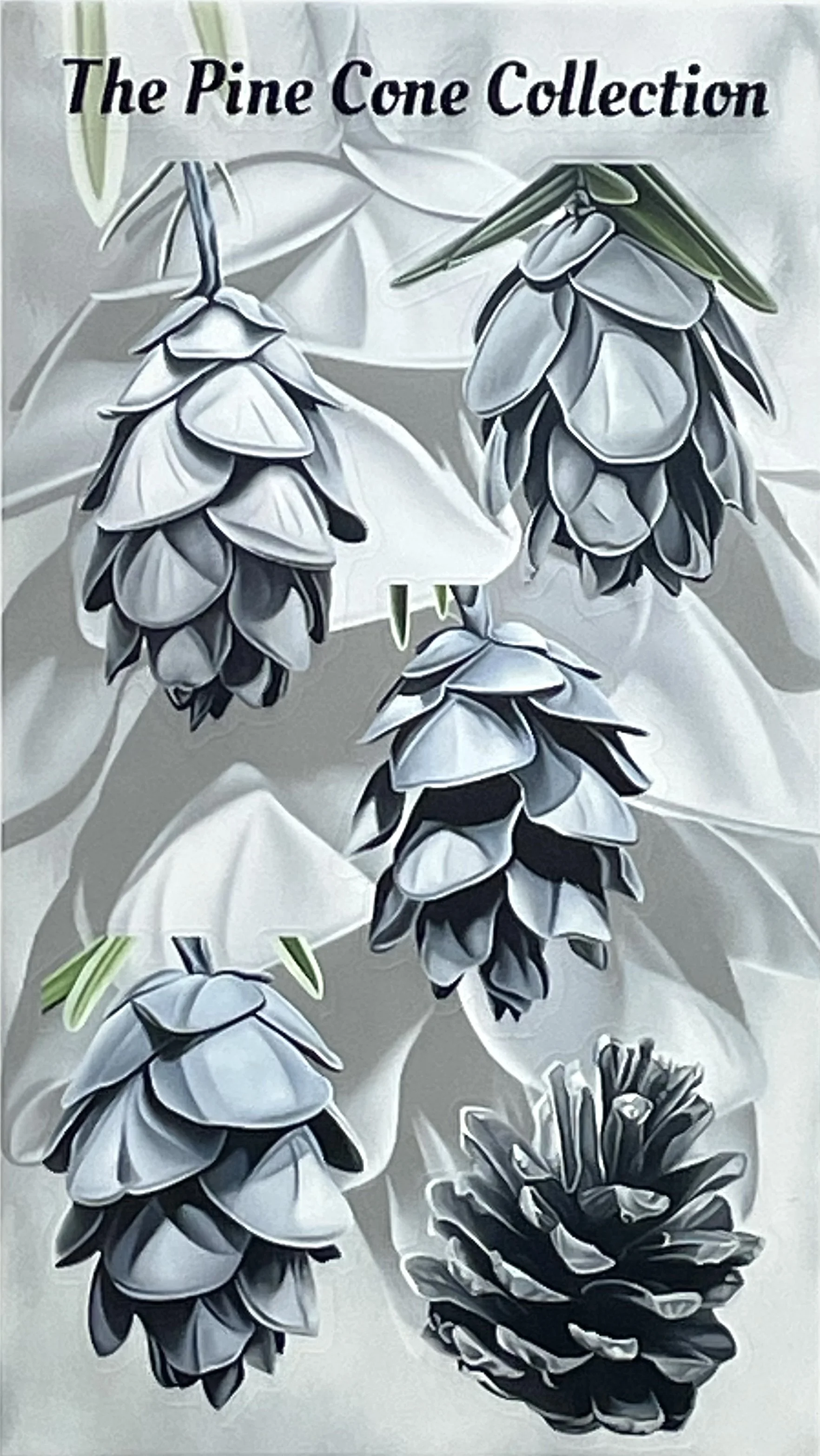 pinecone sticker.jpg