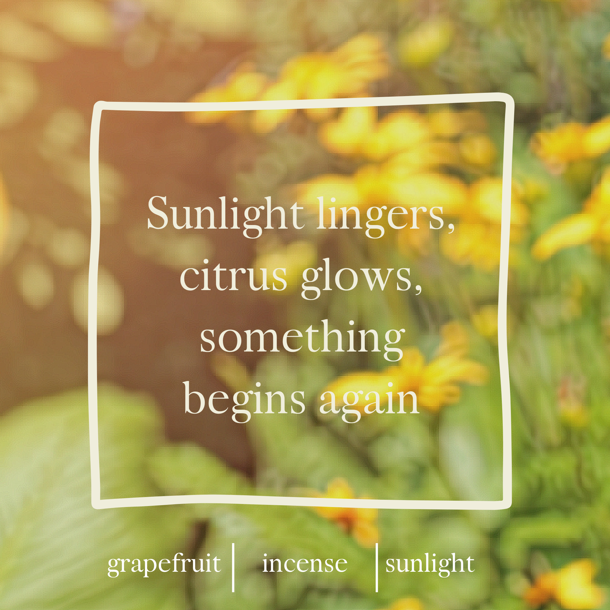 perfume images (19).png