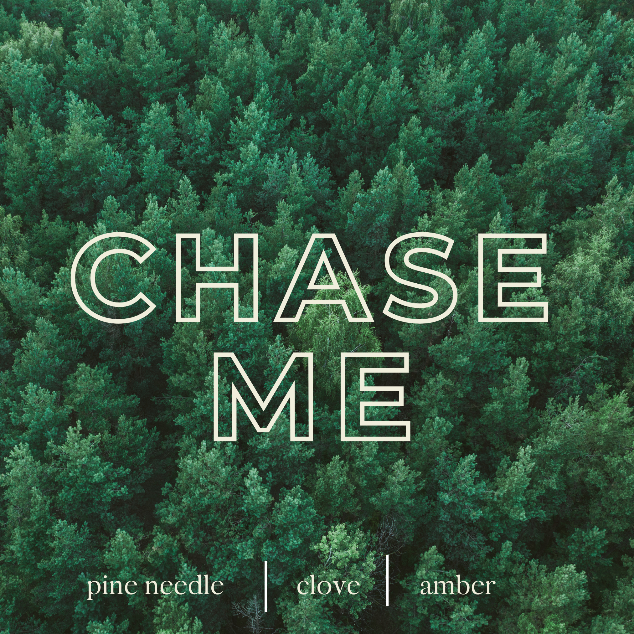 CHASE ME (3).png
