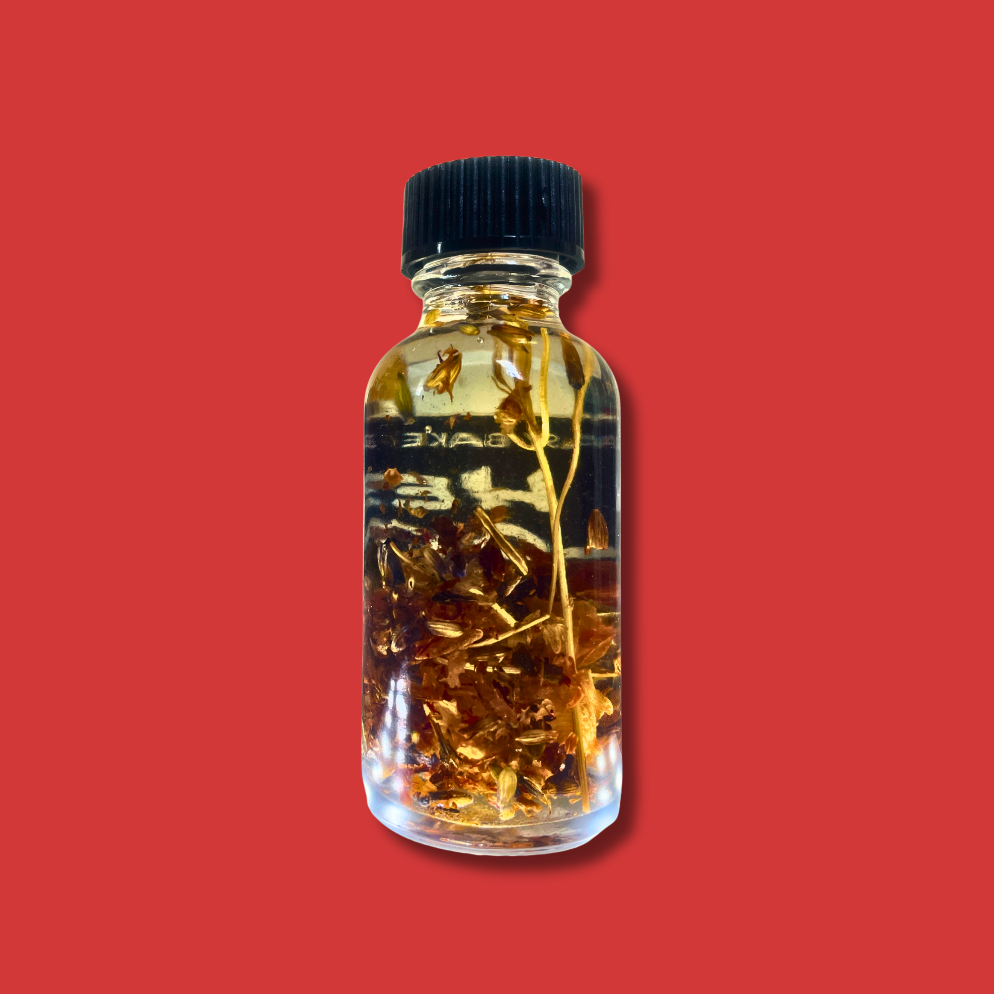 Untitled design - 2026-08-19T145512.211.png