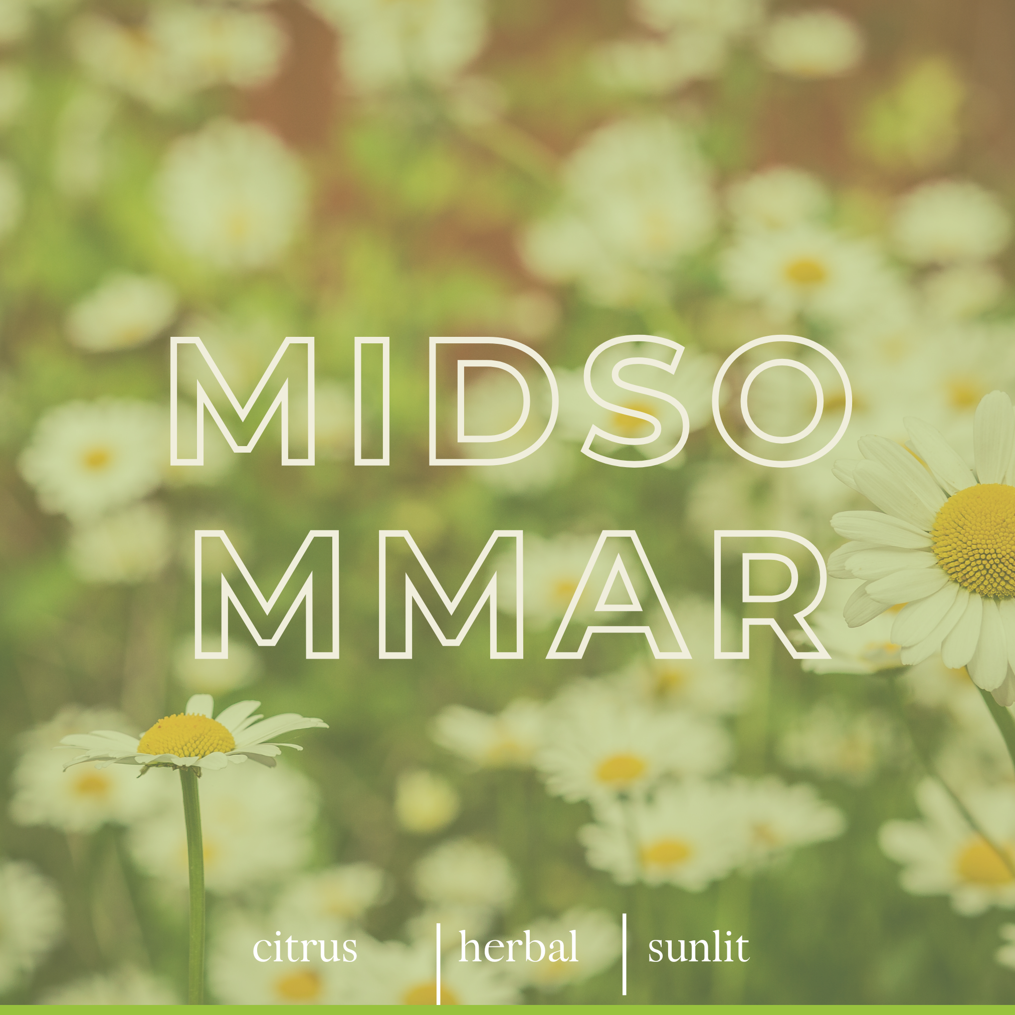 midsommar 1 (3).png