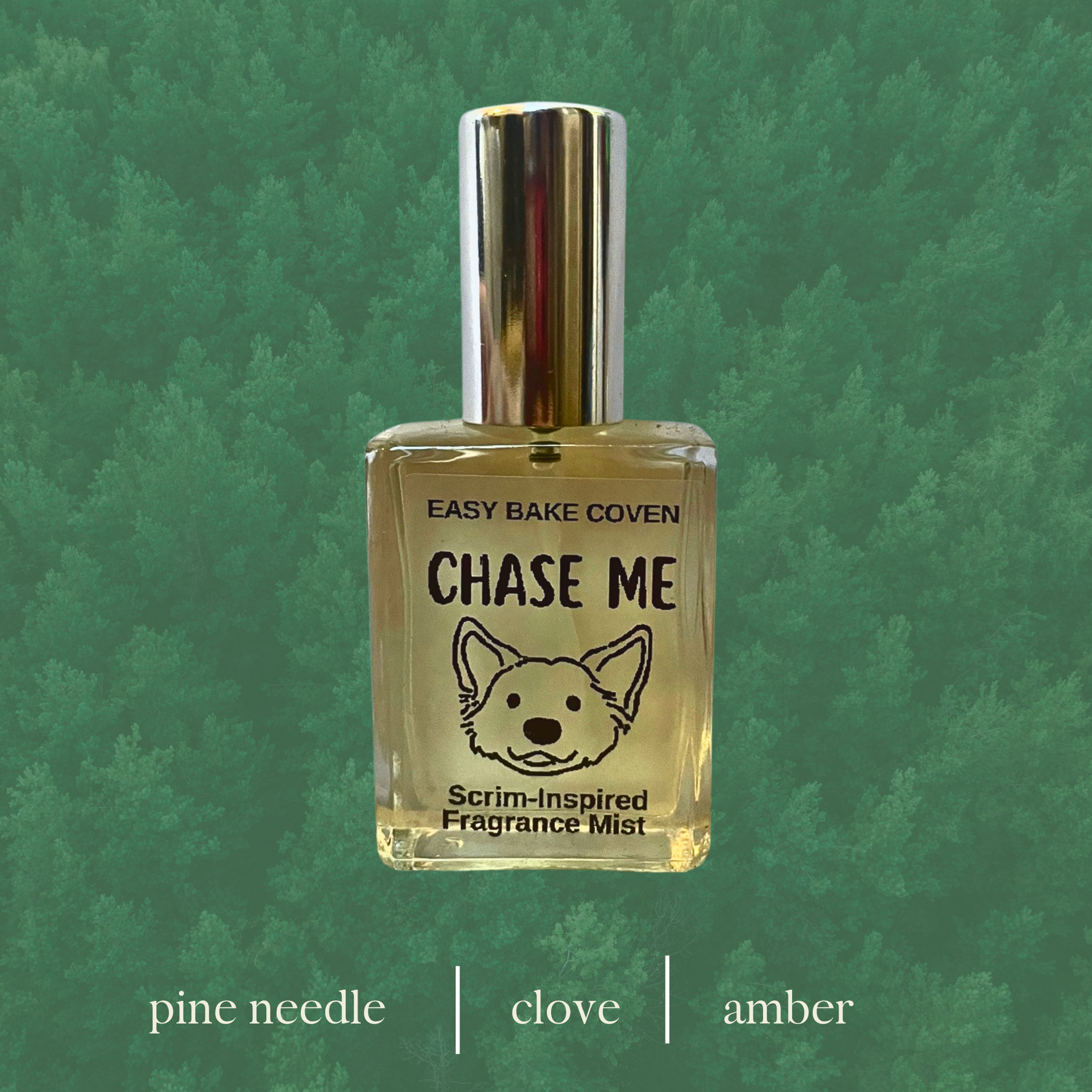 CHASE ME (2).png