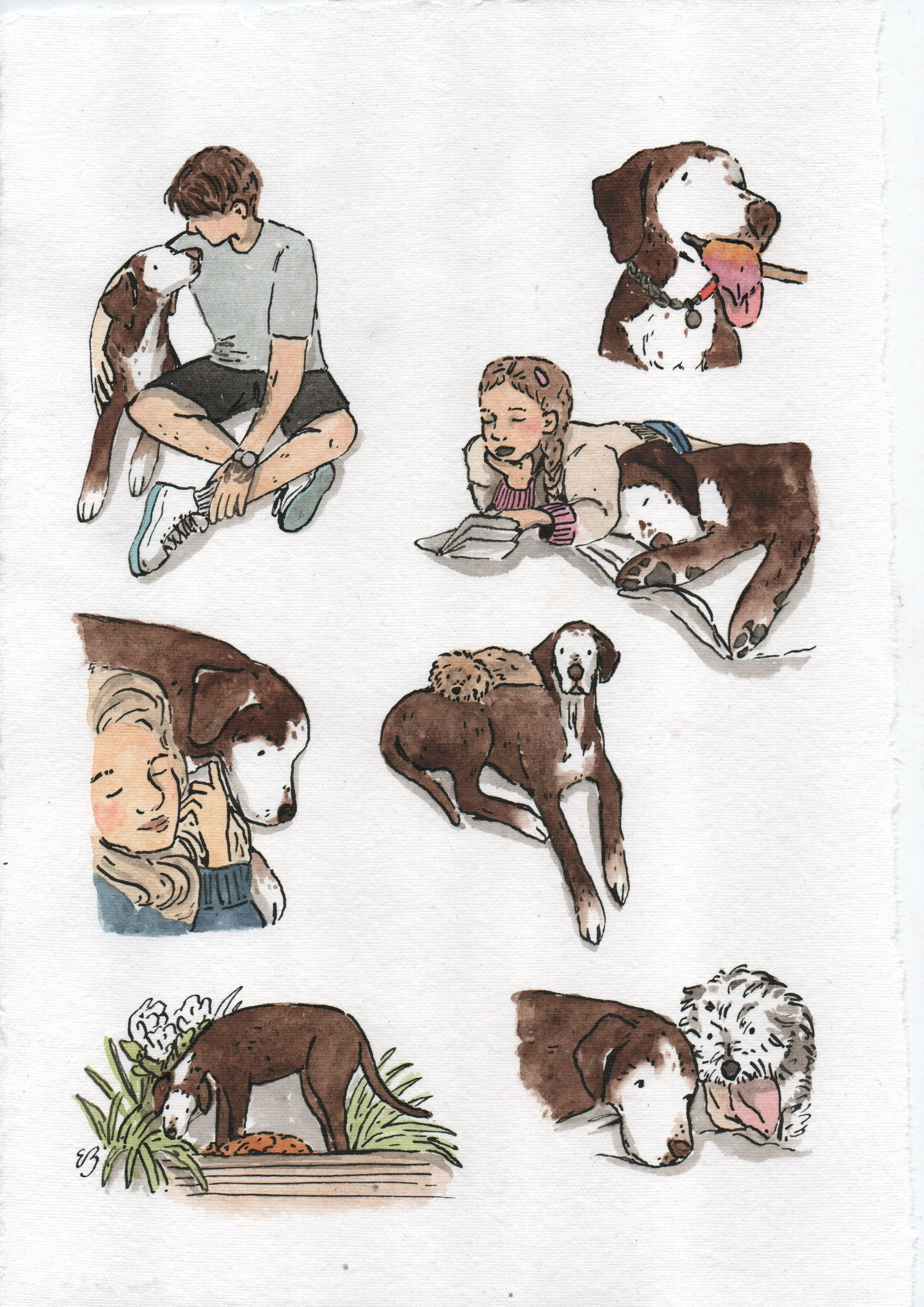 Commissions- Family Pet