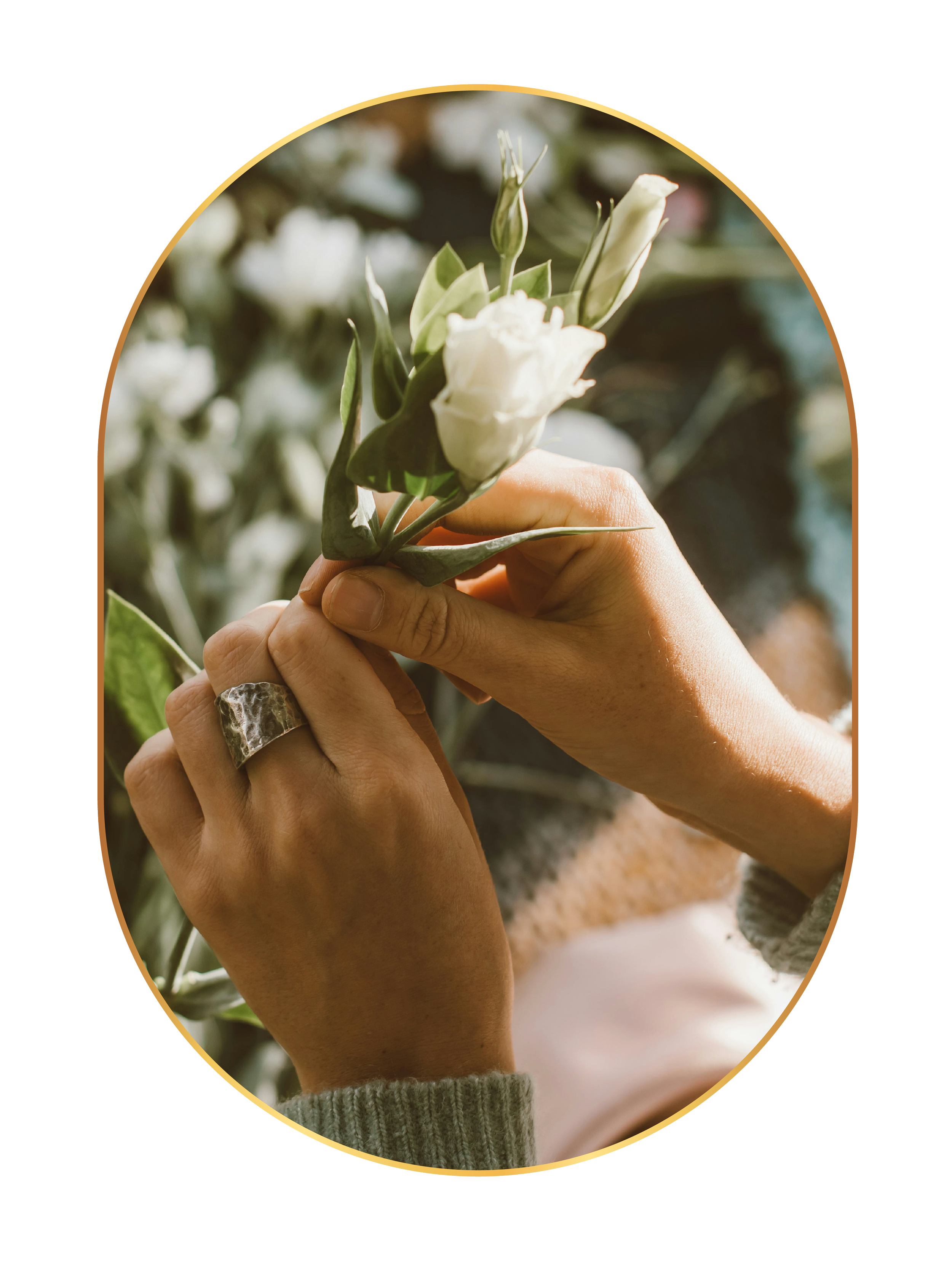 Close-up of hands holding a white flower with green leaves, wearing a silver ring and a gray sweater.